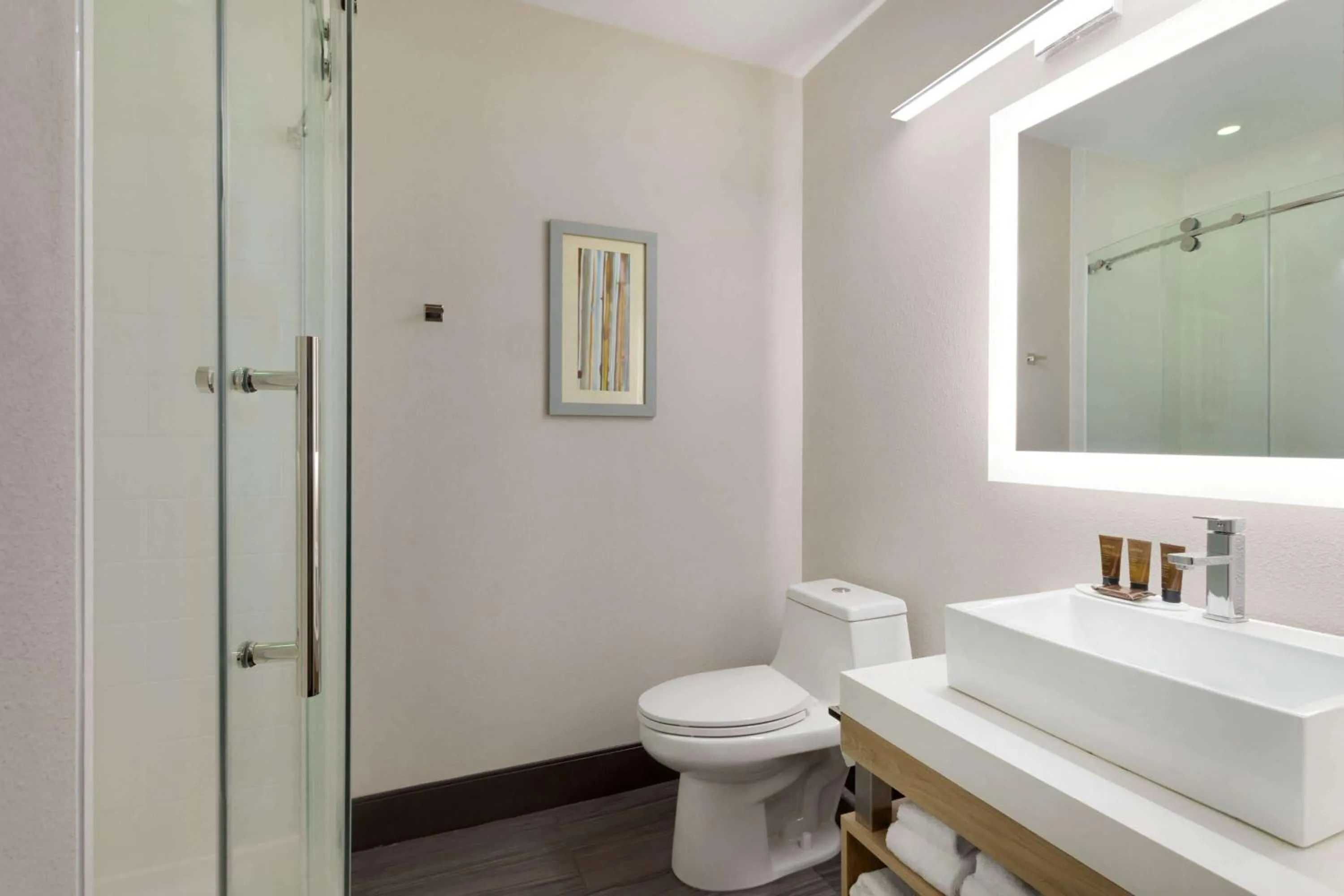 Bathroom in Wingate by Wyndham Murfreesboro-NEAR MTSU