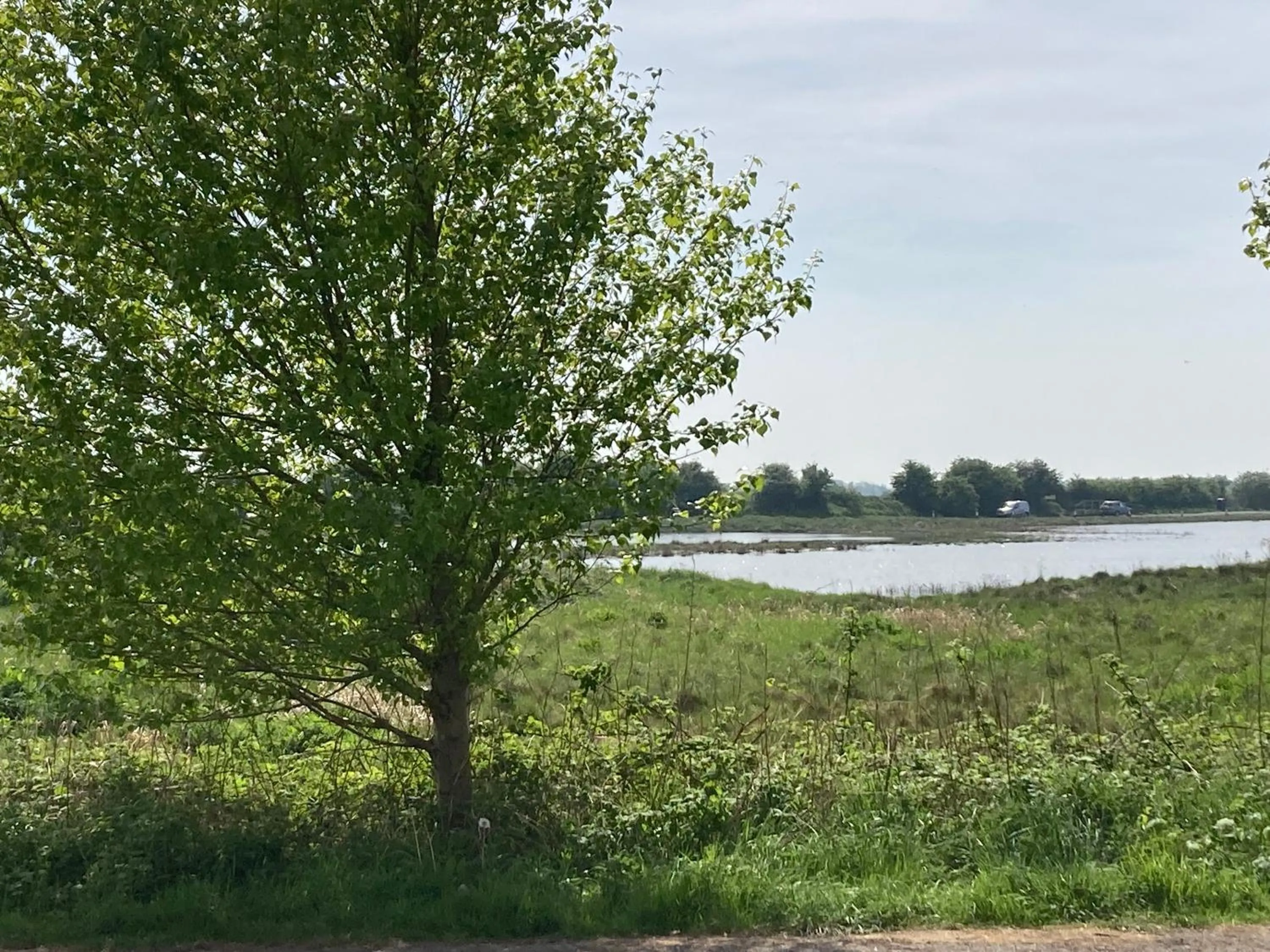 View (from property/room) in The Stork Hotel