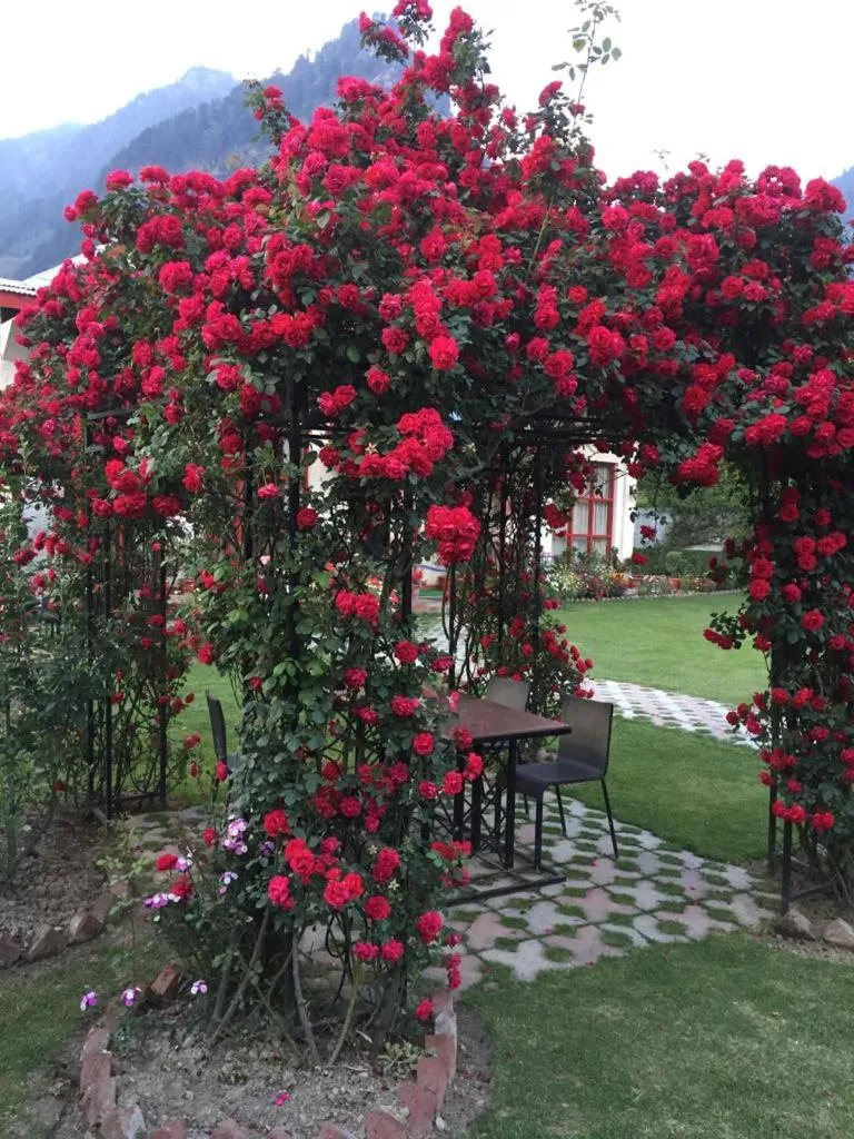 Spring in De Vivendi Resorts, Manali with 35000 Sqft Open Lawn