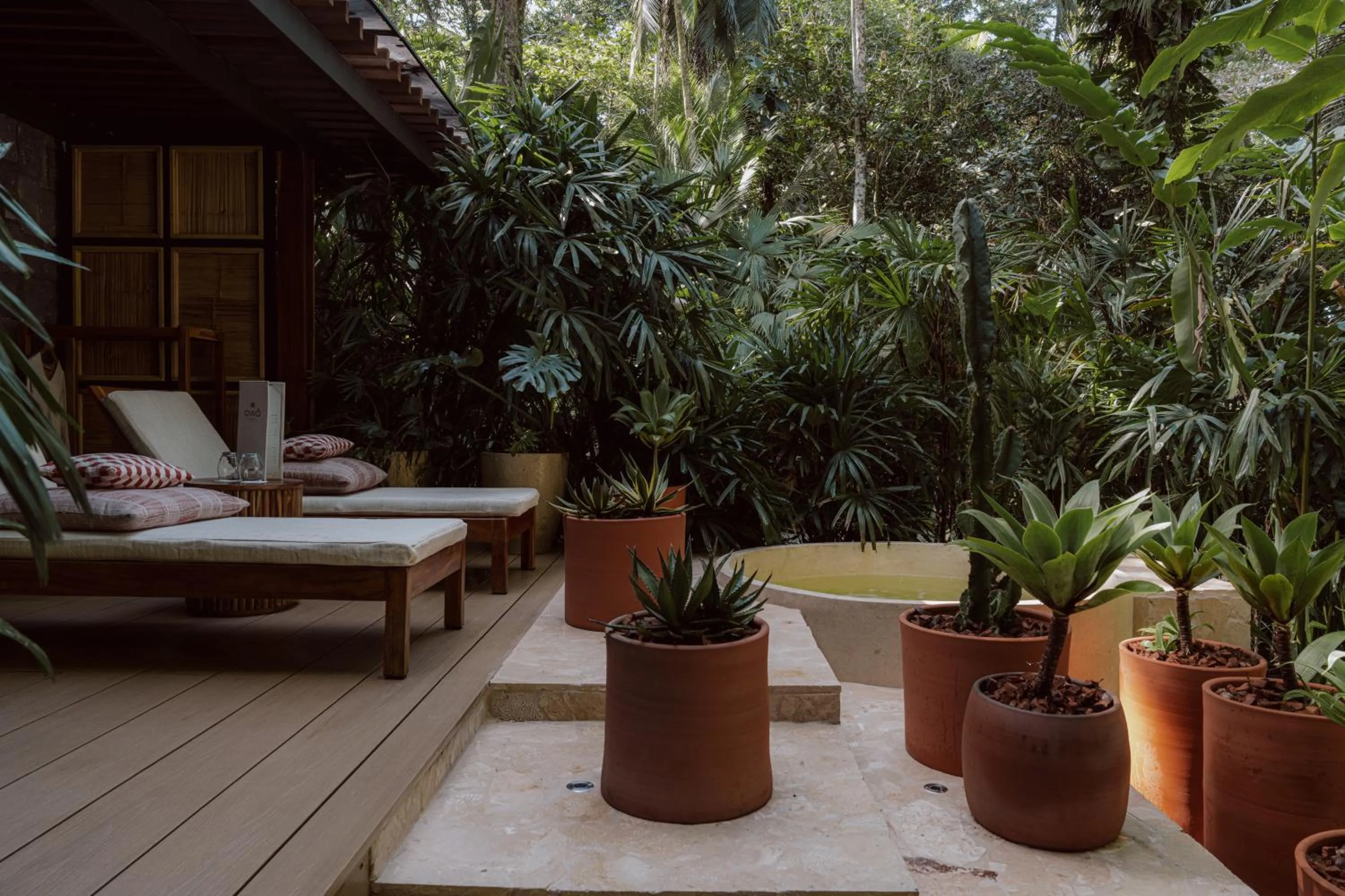 Swimming pool in awā Beachfront Hotel