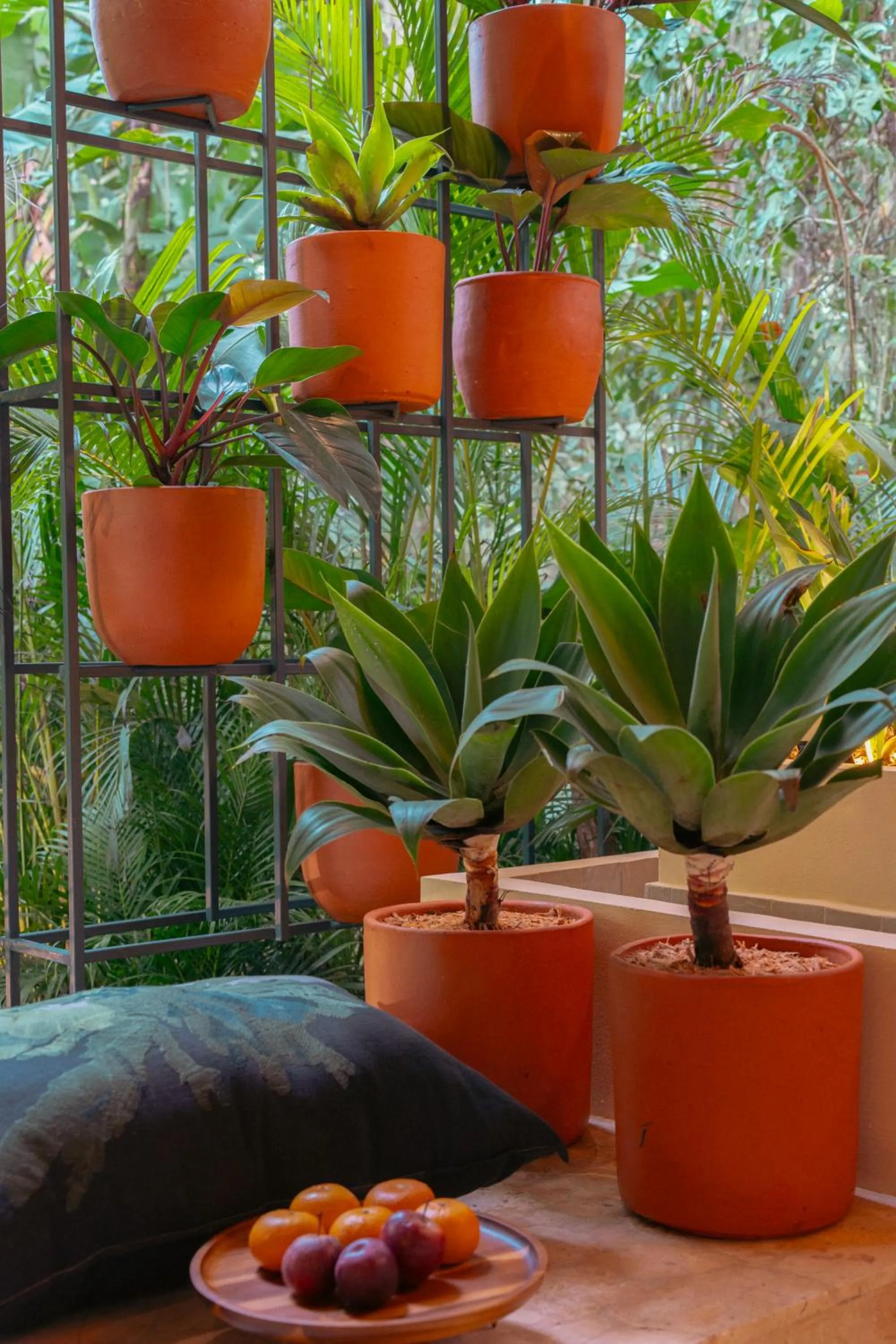 Garden in awā Beachfront Hotel