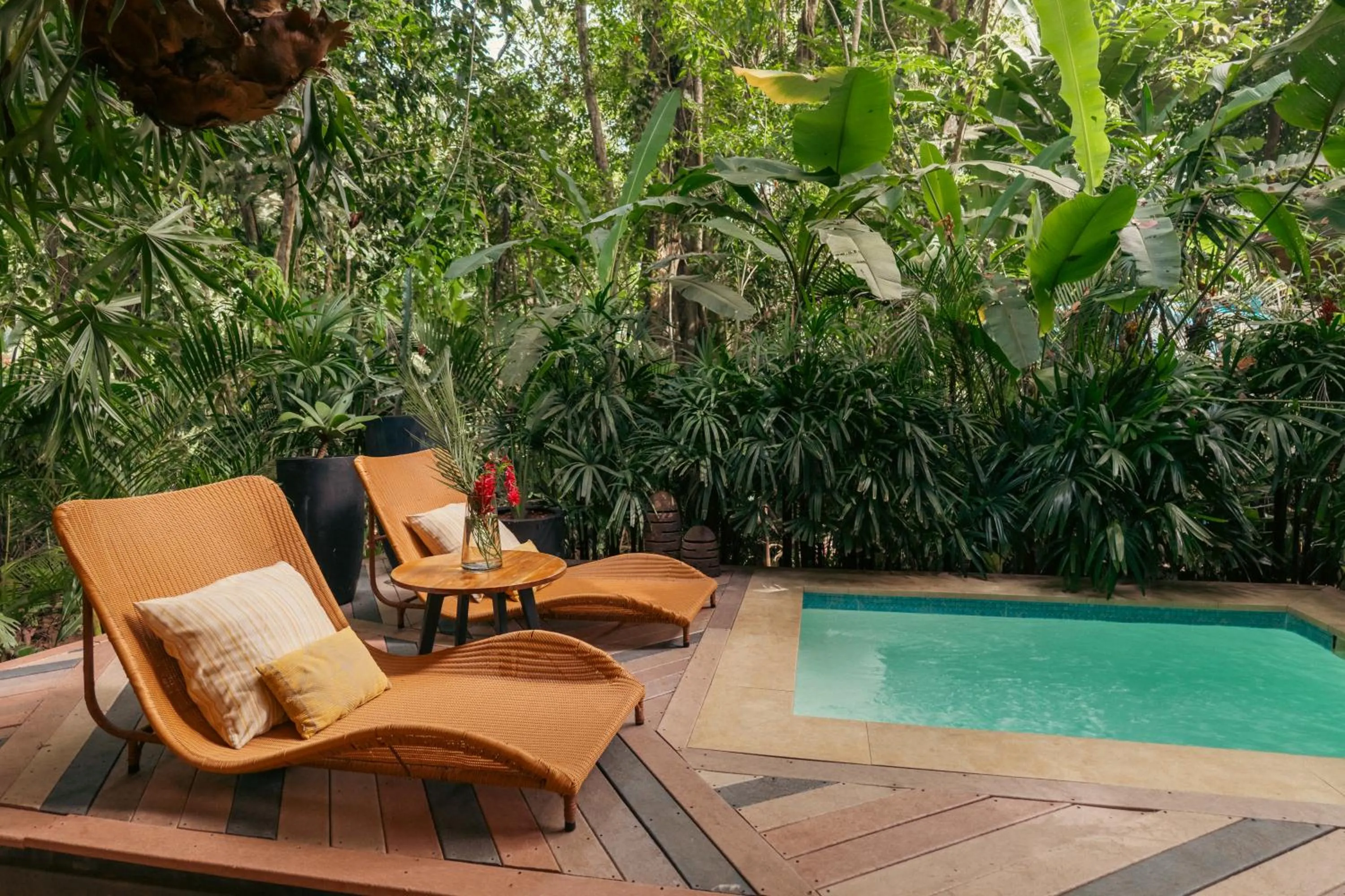 Pool view in awā Beachfront Hotel