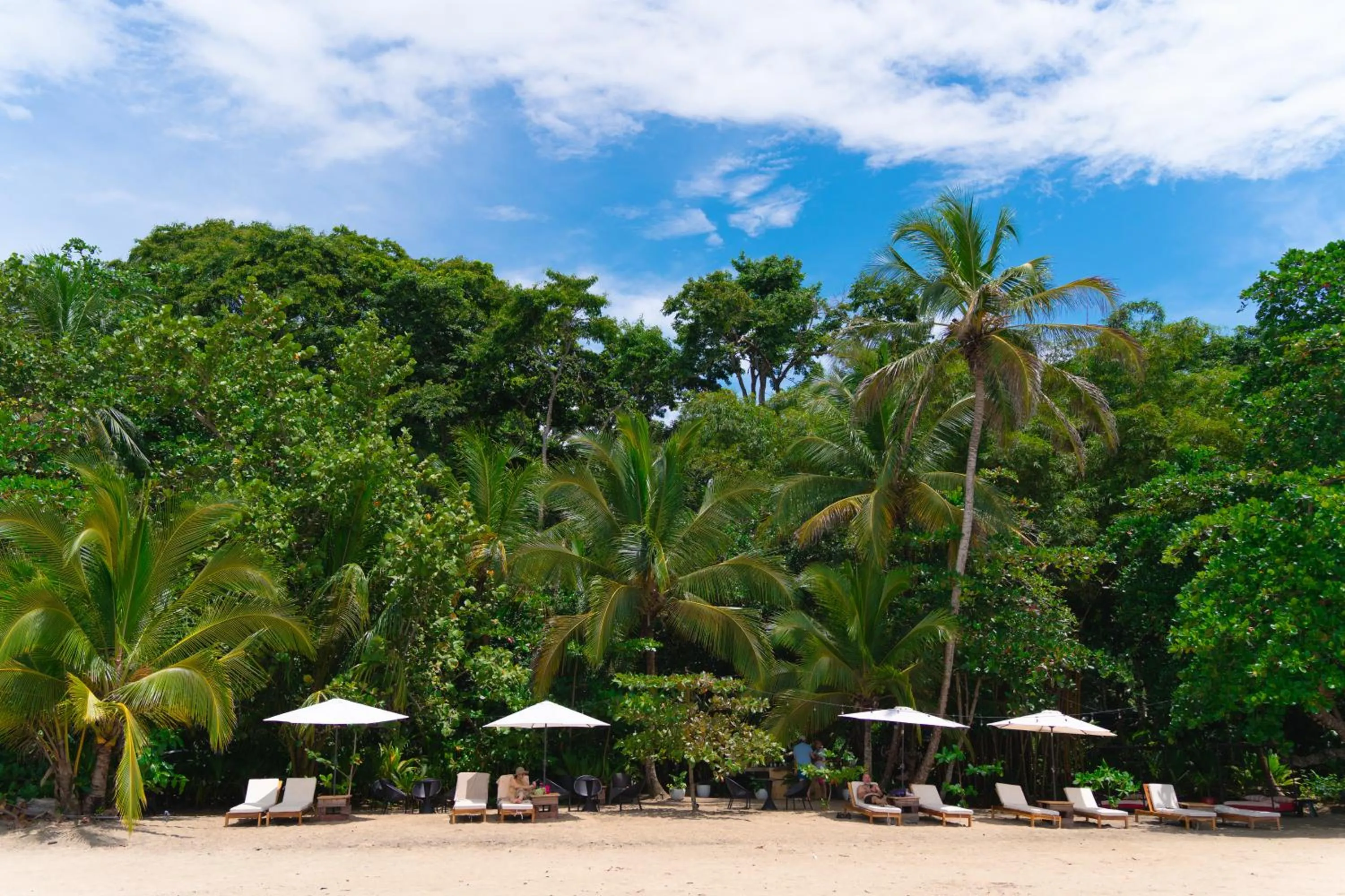 Beach in awā Beachfront Hotel
