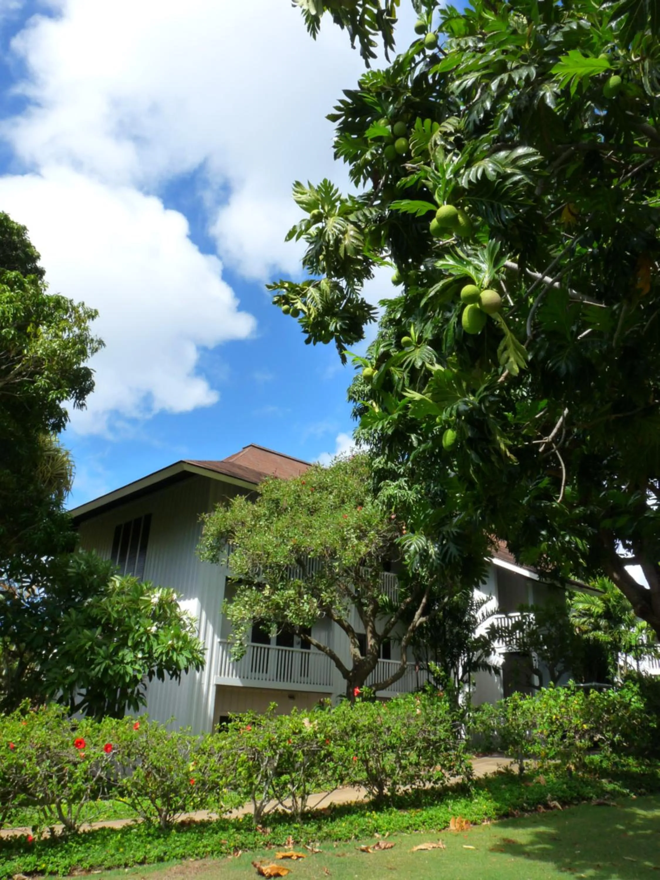 Garden in Kiahuna Plantation 96, Poipu Beach, Club Membership, Part Ocean View, Kids Toys