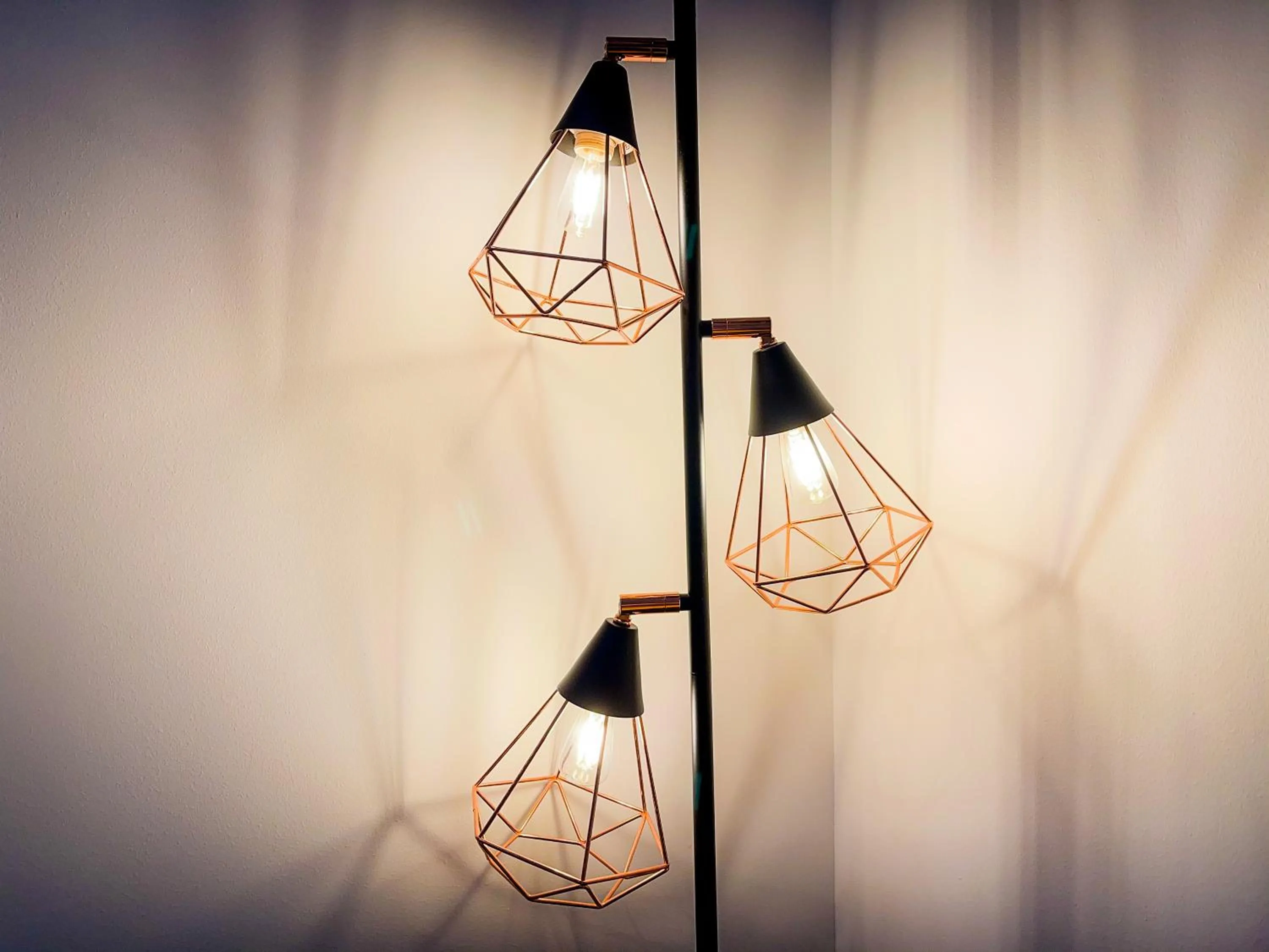 Ashfield Boutique Stays