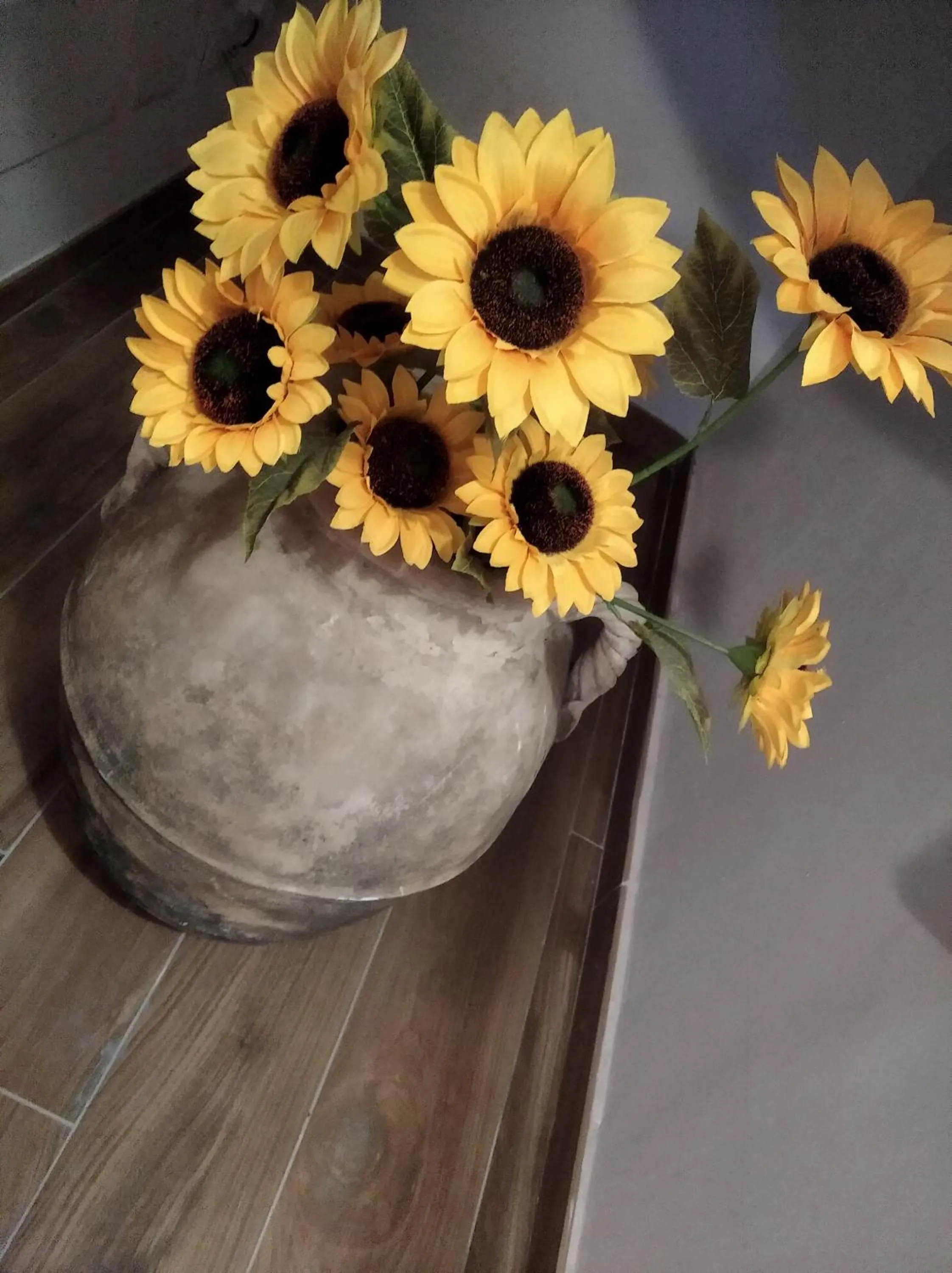 Agriturismo B&B Il Girasole