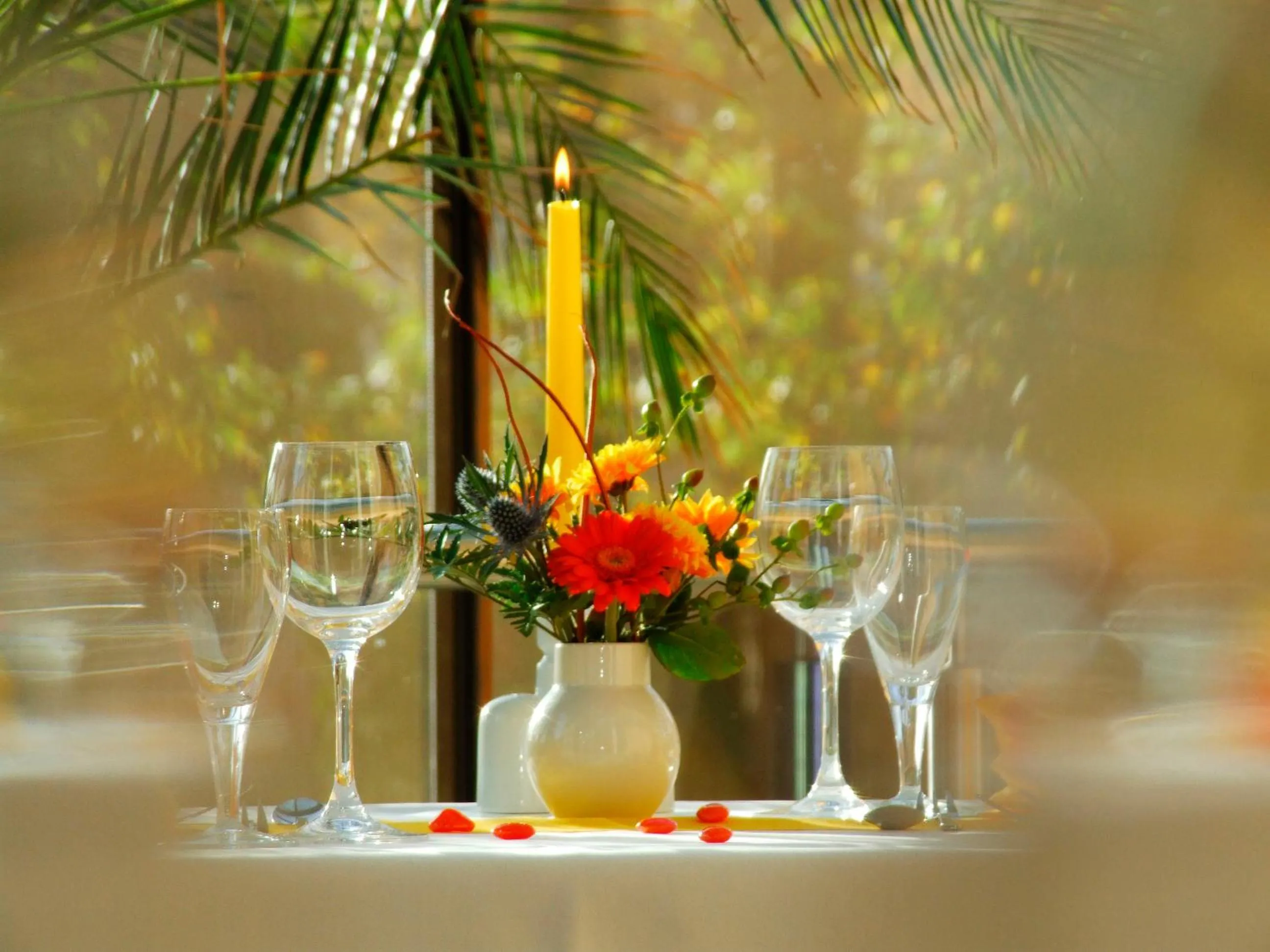 Restaurant/places to eat in Hotel Regenbogenhaus