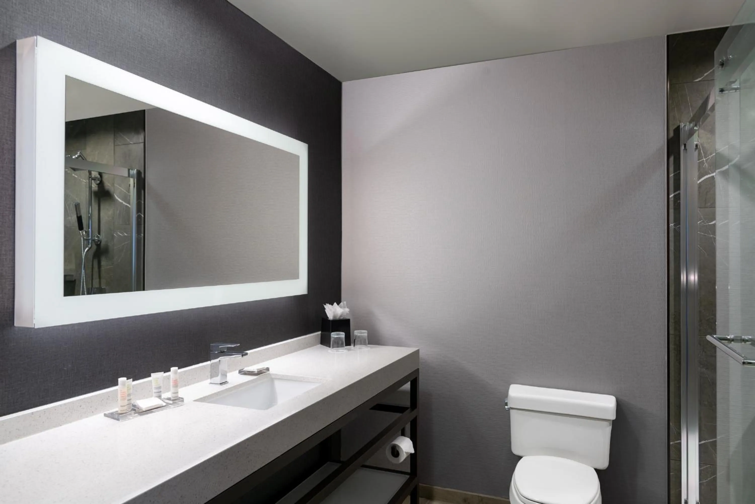 Shower in Courtyard by Marriott Chicago at Medical District-UIC