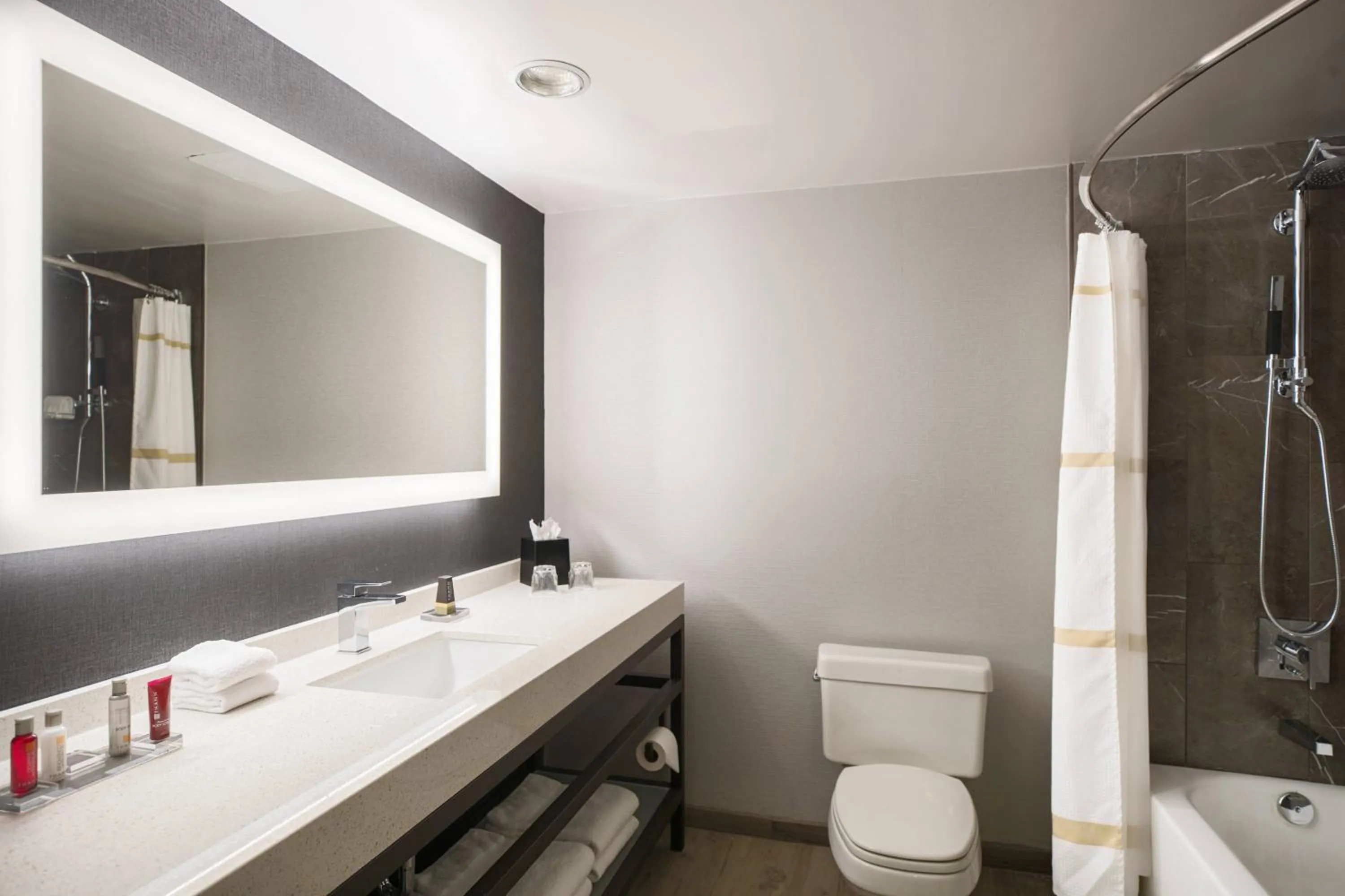 Toilet in Courtyard by Marriott Chicago at Medical District-UIC