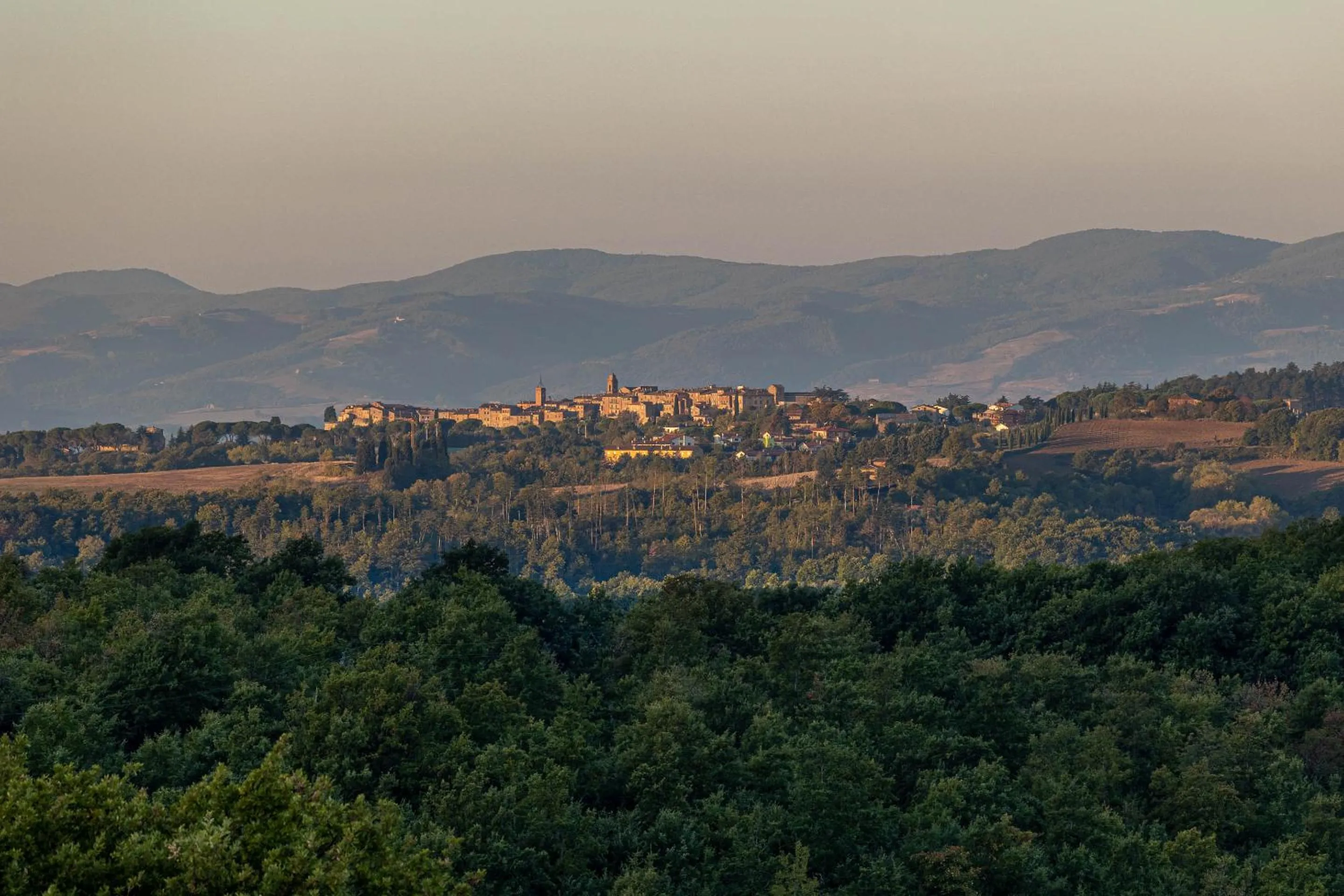 Hiking in I Borghi dell'Eremo