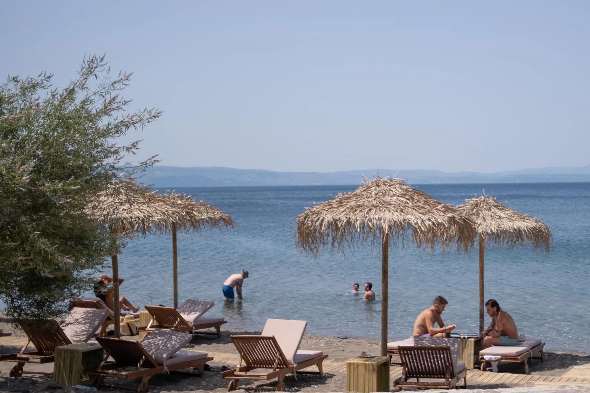 Beach in Kaminos Evia