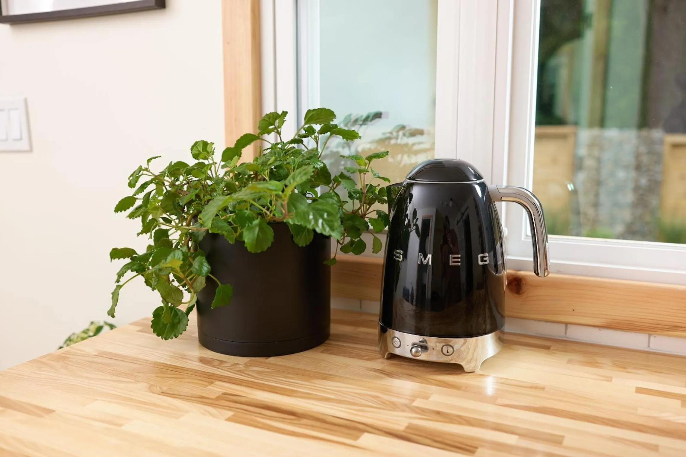 Coffee/tea facilities in The Rex