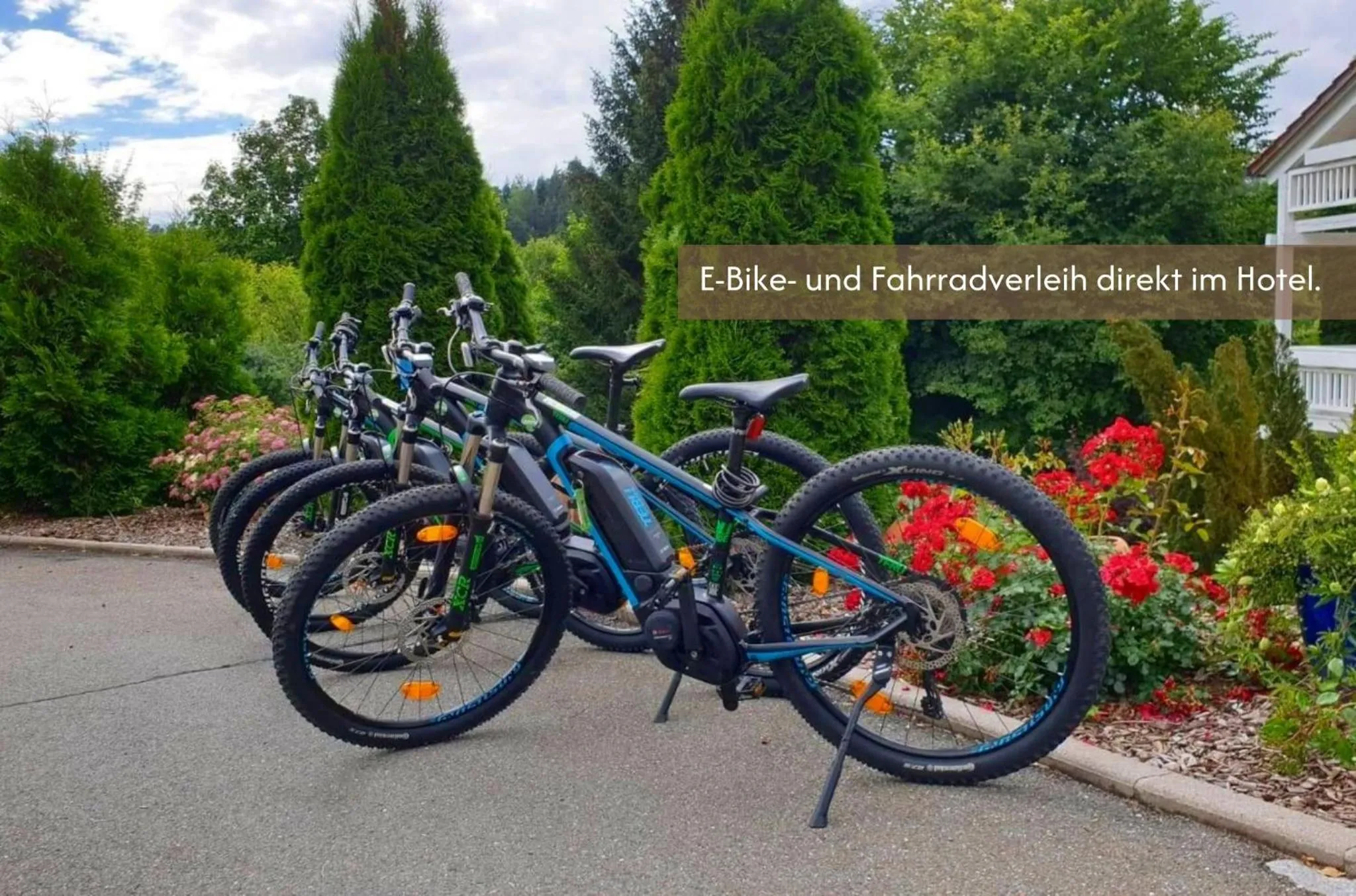 Cycling in Hotel Wutzschleife