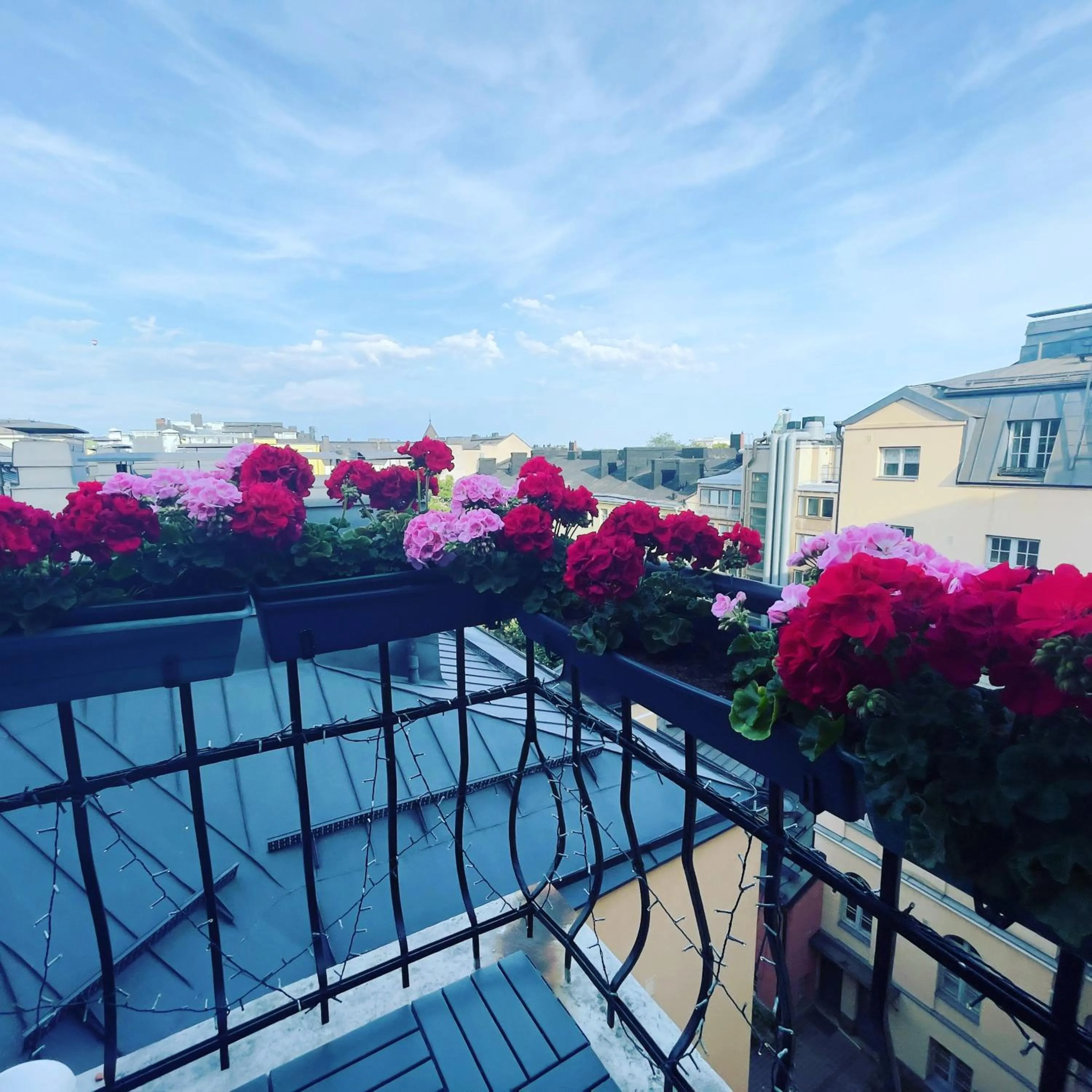 Budget Single Room in Senate Hotel