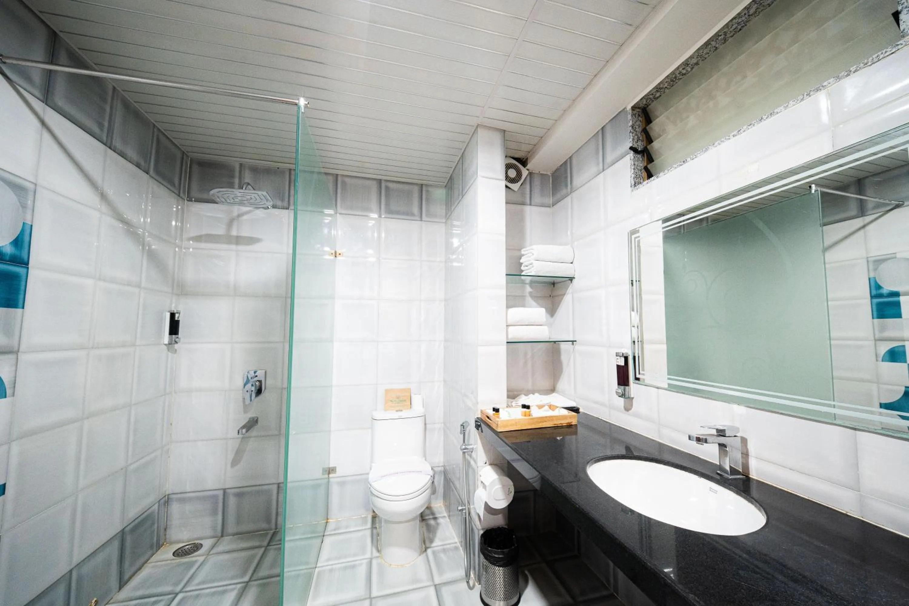 Toilet in The Sky Imperial- Hotel Gopal Darshan