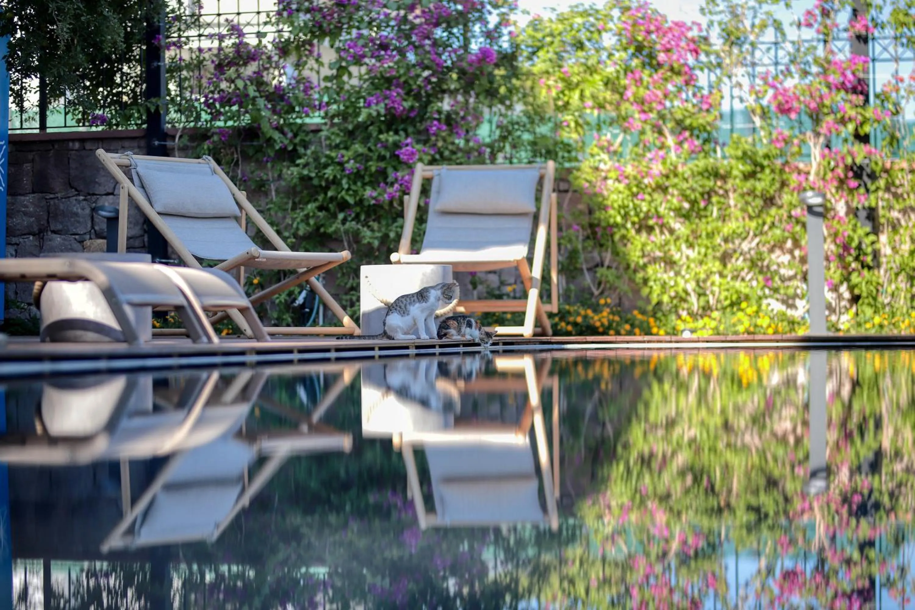 Swimming pool in CUNDA PİER OTEL