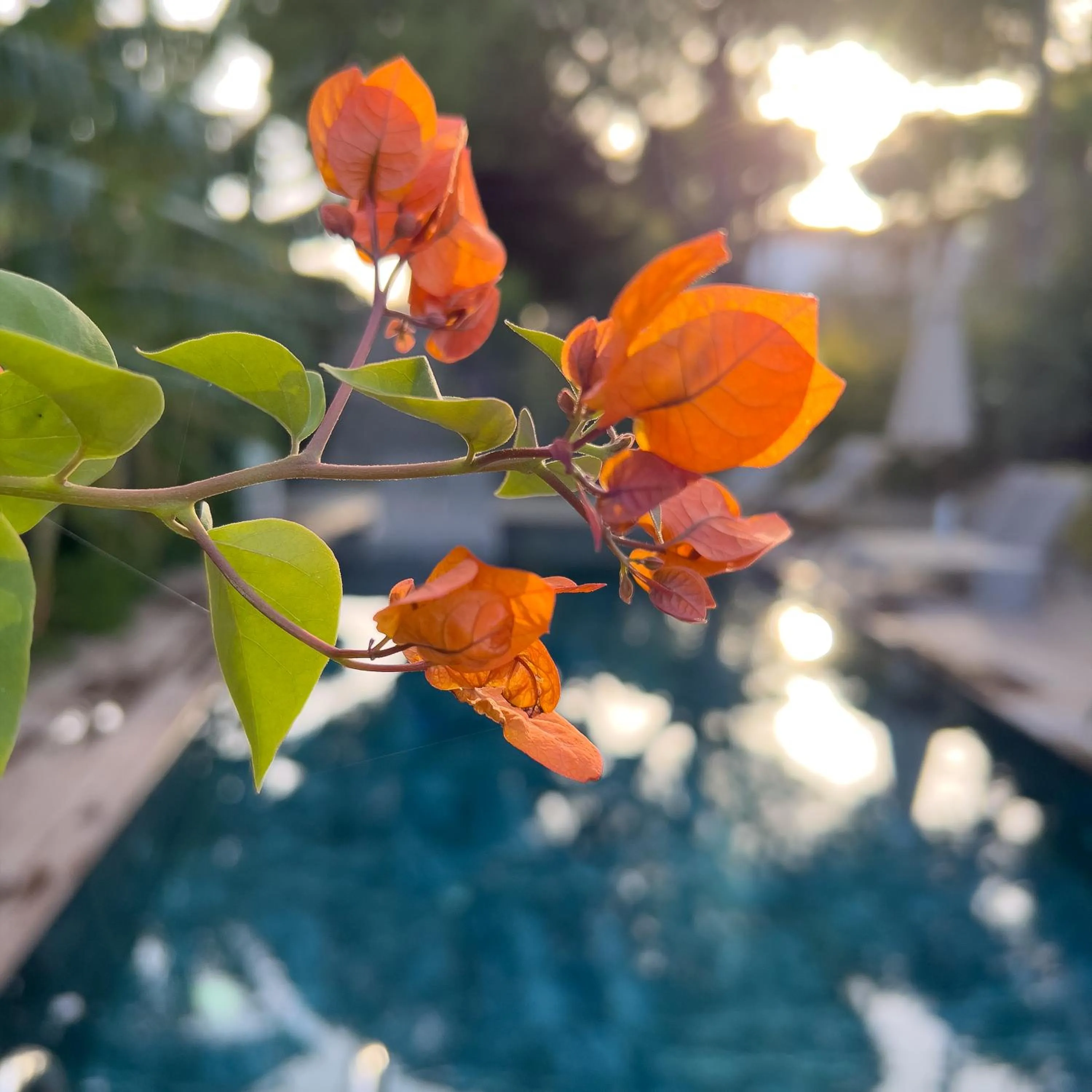 Pool view in CUNDA PİER OTEL