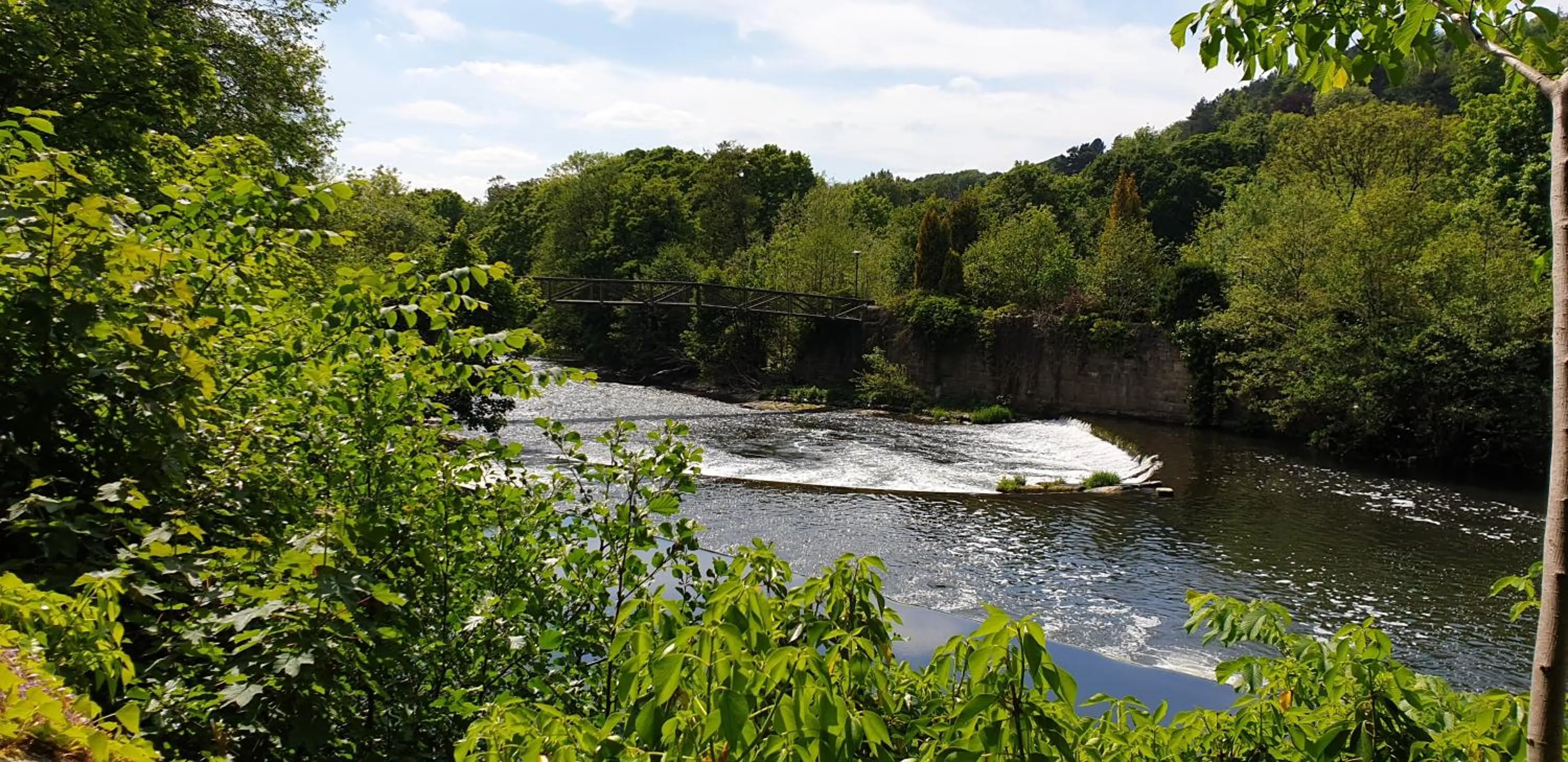 Garden in The Strutt Arms