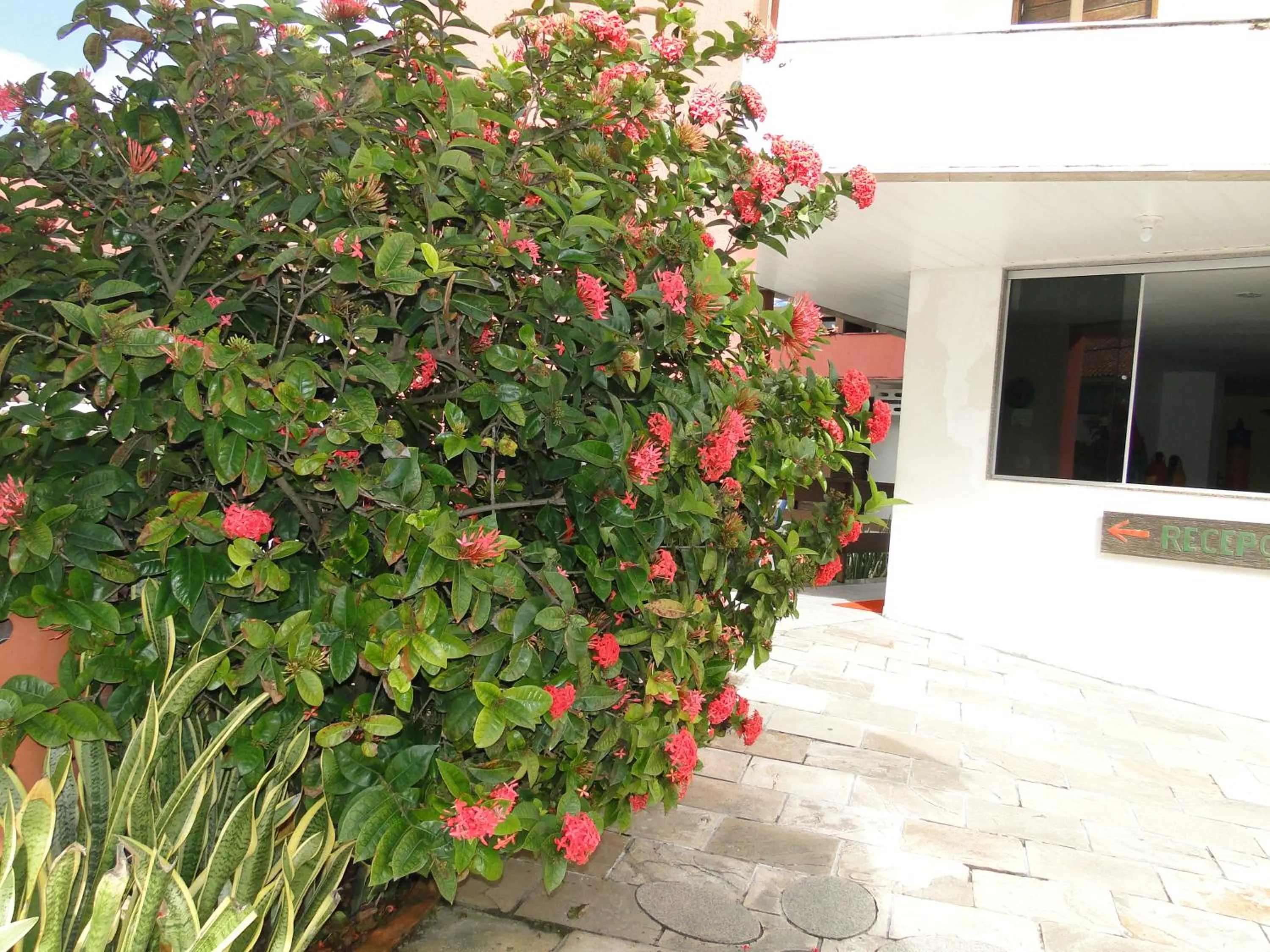 Facade/entrance in POUSADA LUSITANA