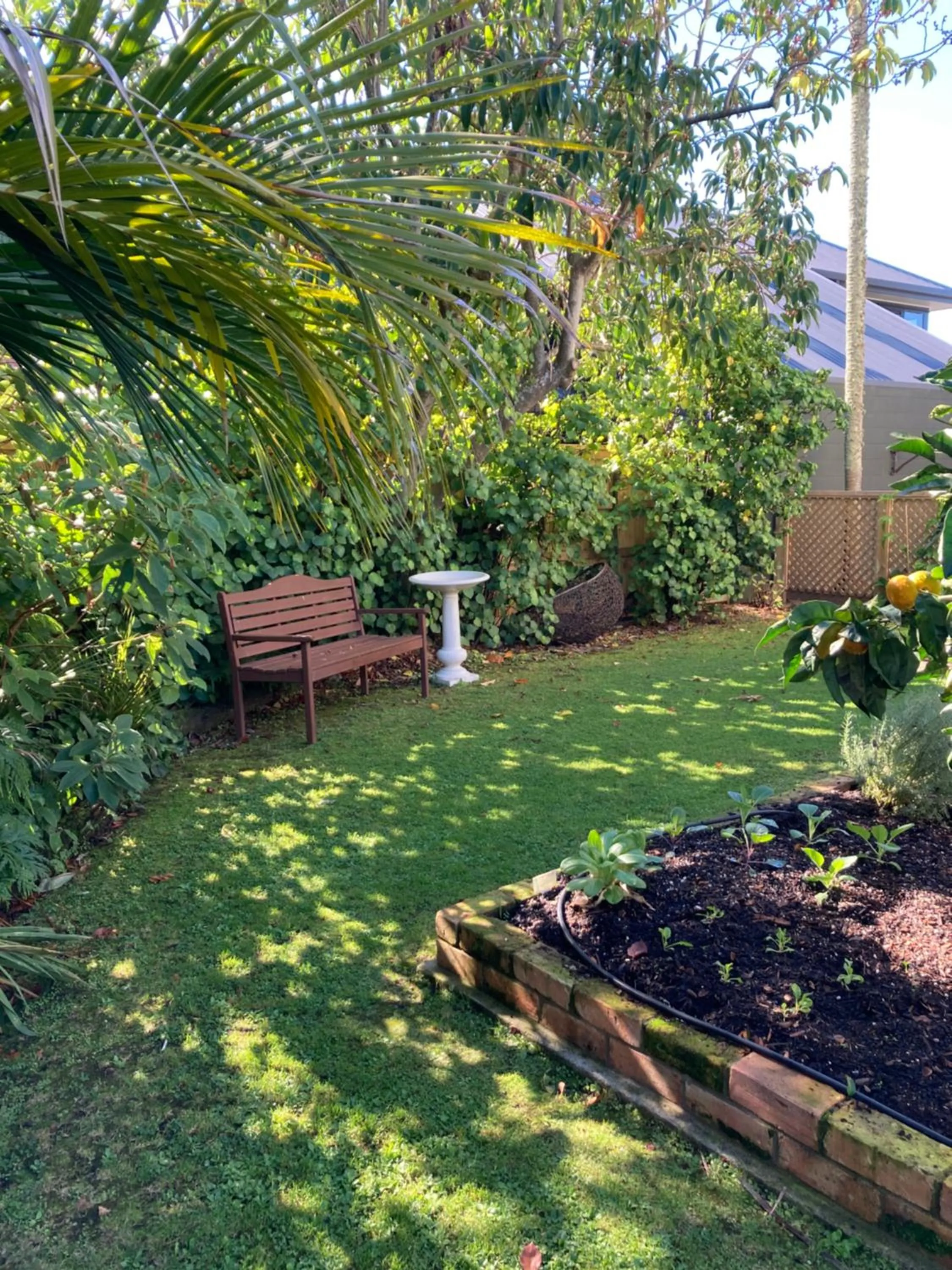 Garden view in Taiparoro House