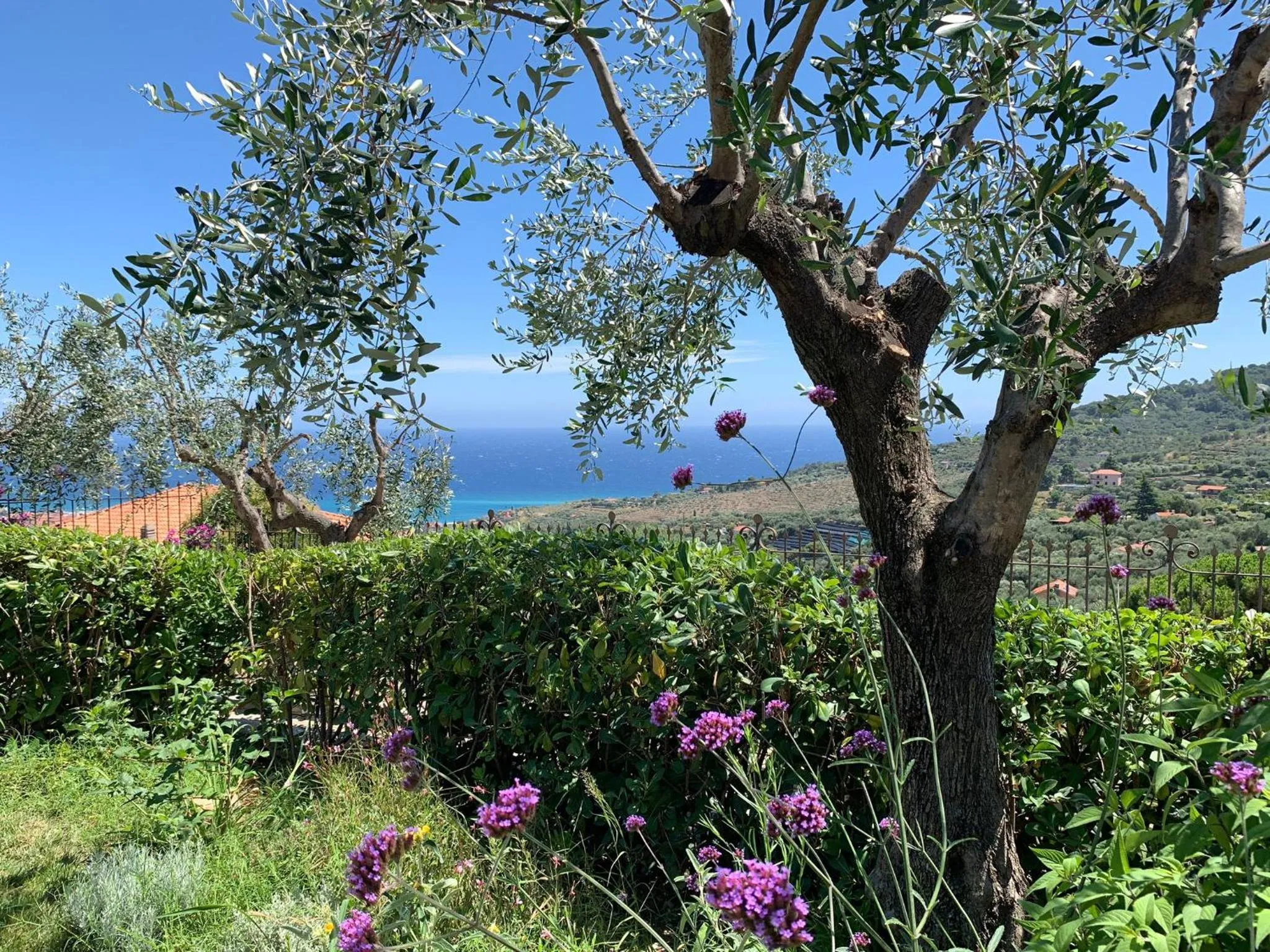 Garden in Agriturismo L’Orto di Muma
