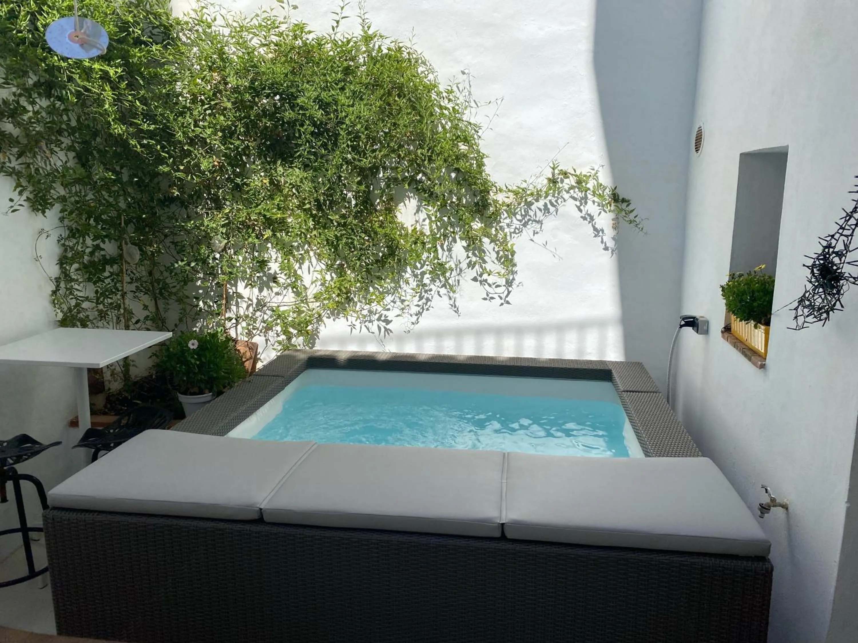 Swimming pool in Casa Limon