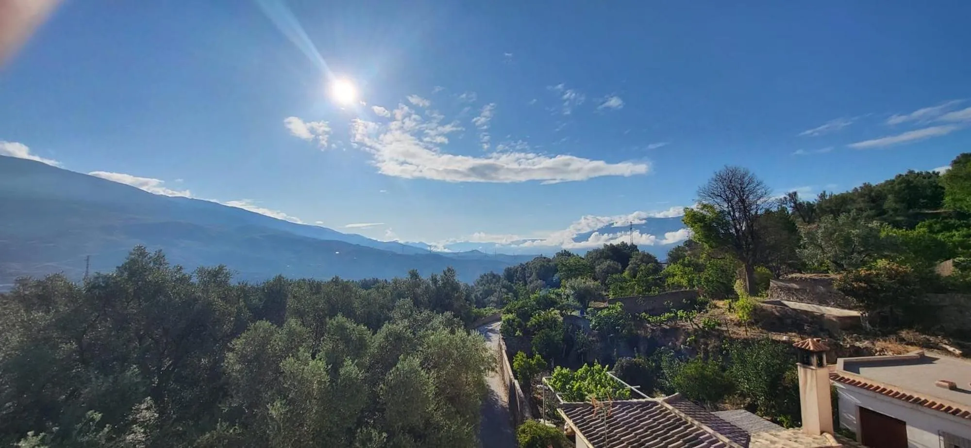 Quiet street view in Casa Limon