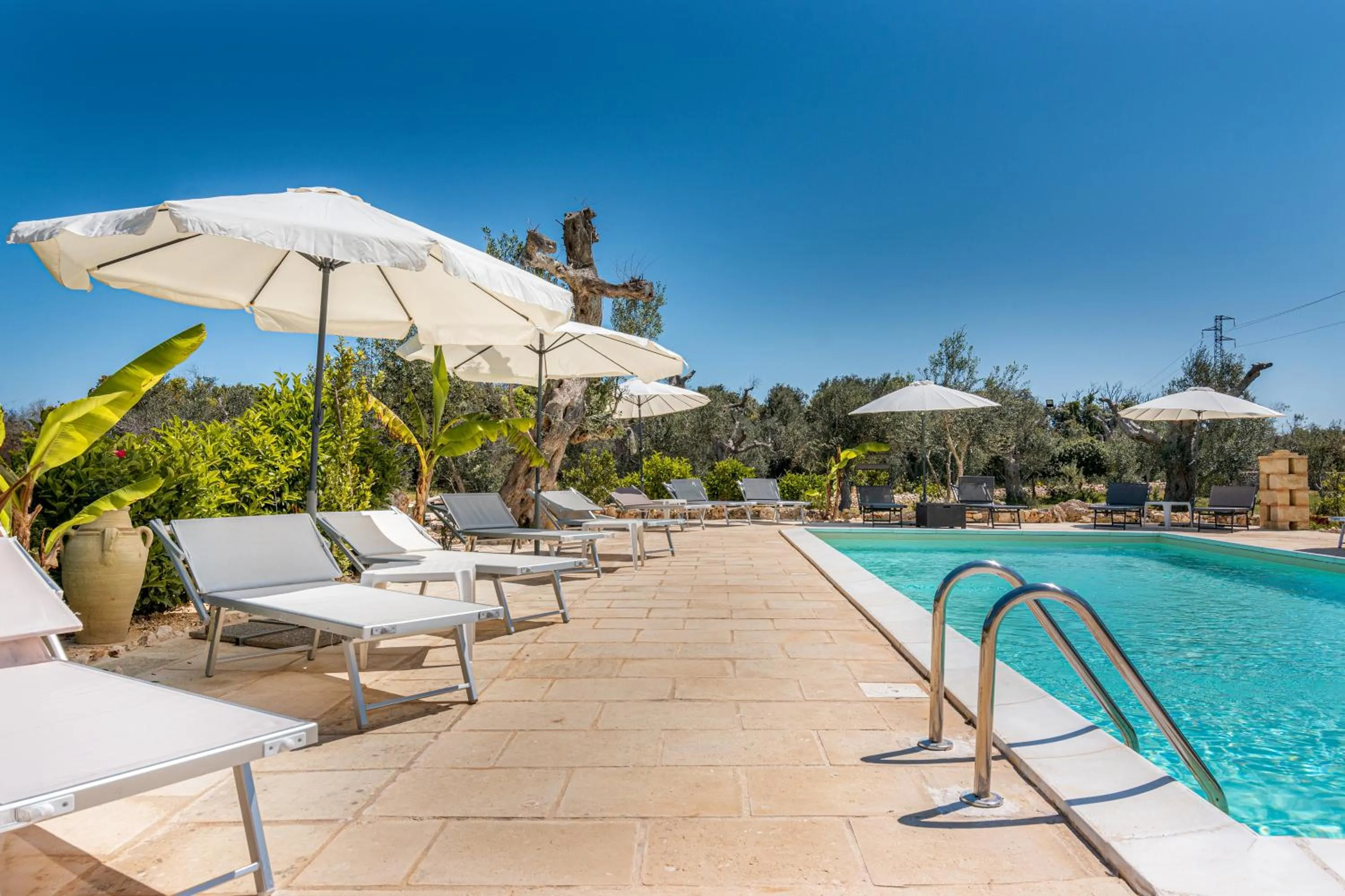 Swimming pool in Tenuta San Lorenzo