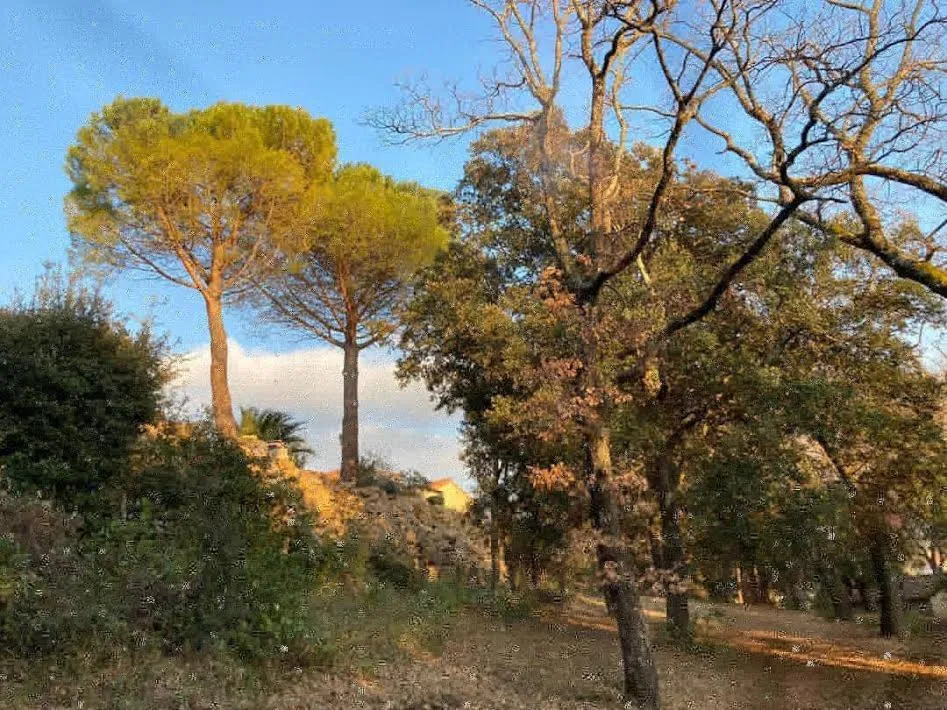 Suite Royale- SPA - Jacuzzi - Sauna - Massage - 2 Double Rooms - 4 SAISONS - Piscine Chauffée Toute l'année - POOL VIEW - Heated POOL -800m City Centre