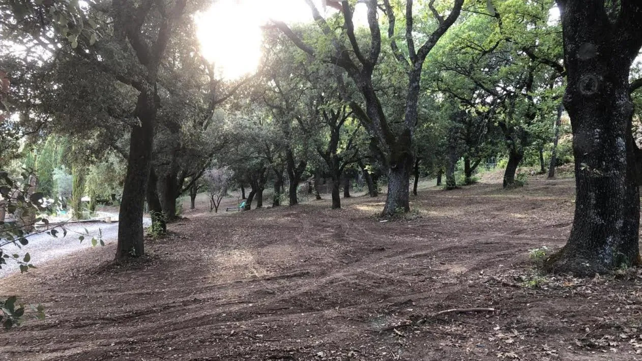 Suite Royale- SPA - Jacuzzi - Sauna - Massage - 2 Double Rooms - 4 SAISONS - Piscine Chauffée Toute l'année - POOL VIEW - Heated POOL -800m City Centre