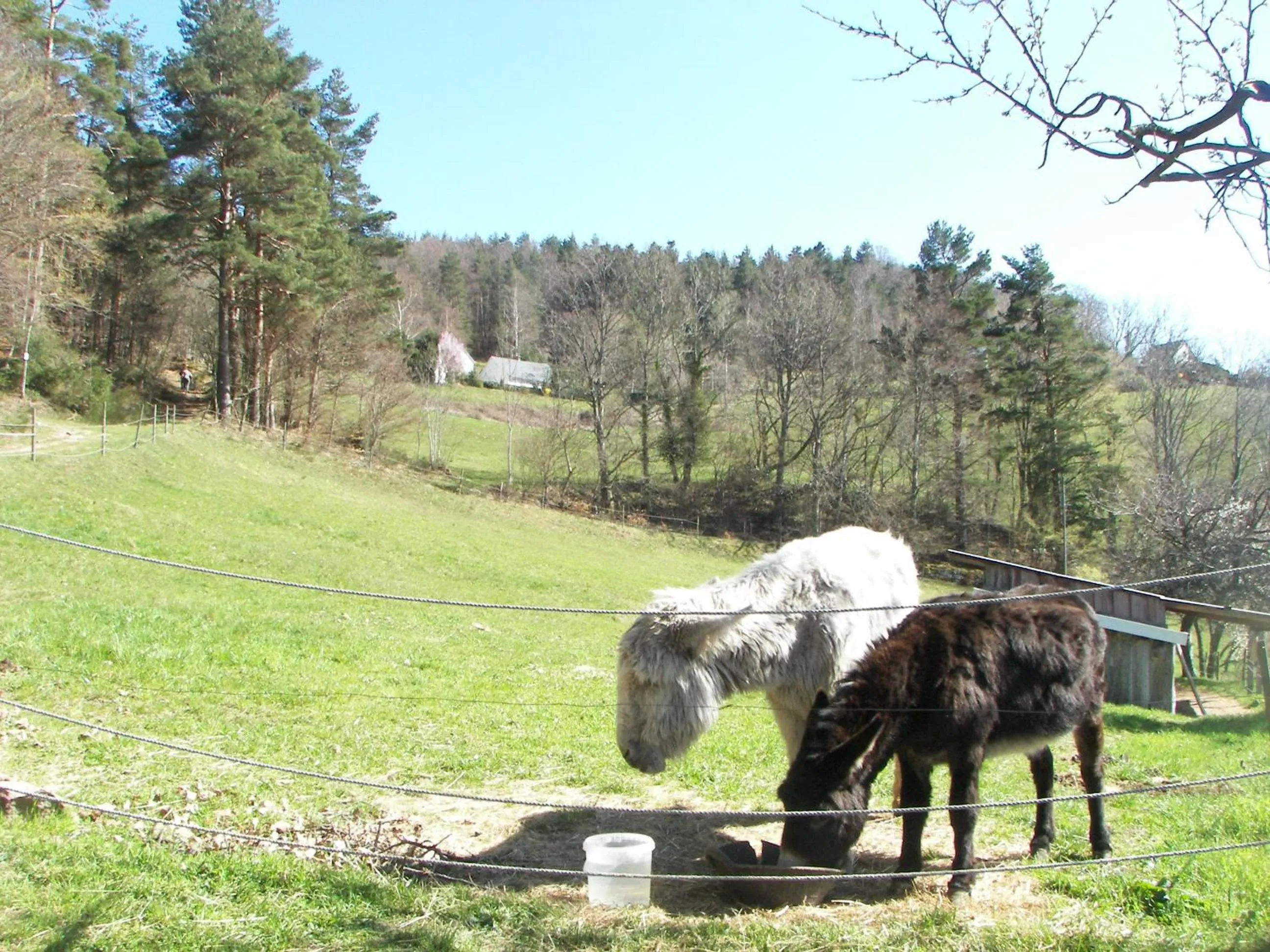 Activities in Hôtel Au Vieux Moulin