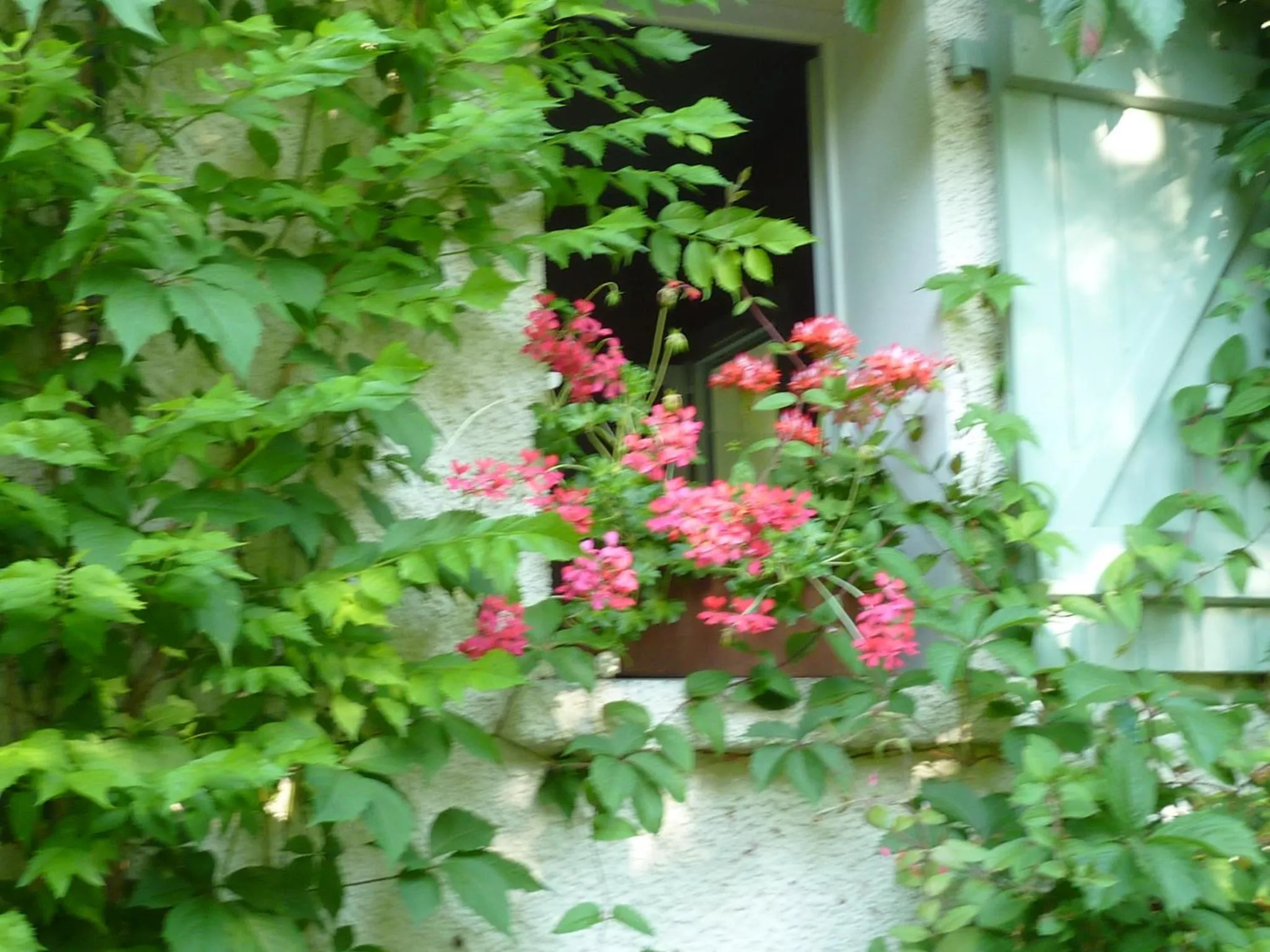 Summer in L'orée du bois