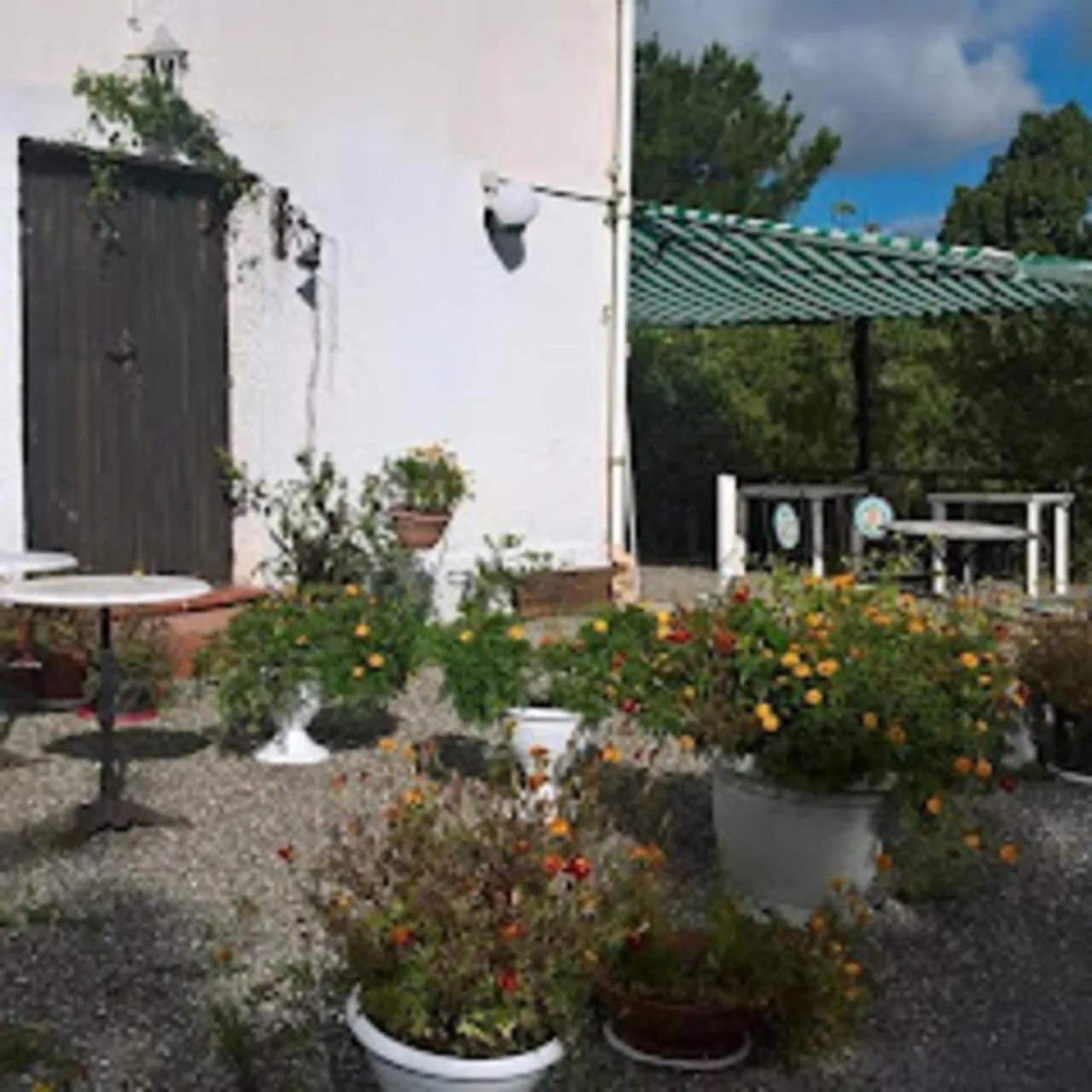 Property building in La casa nel bosco