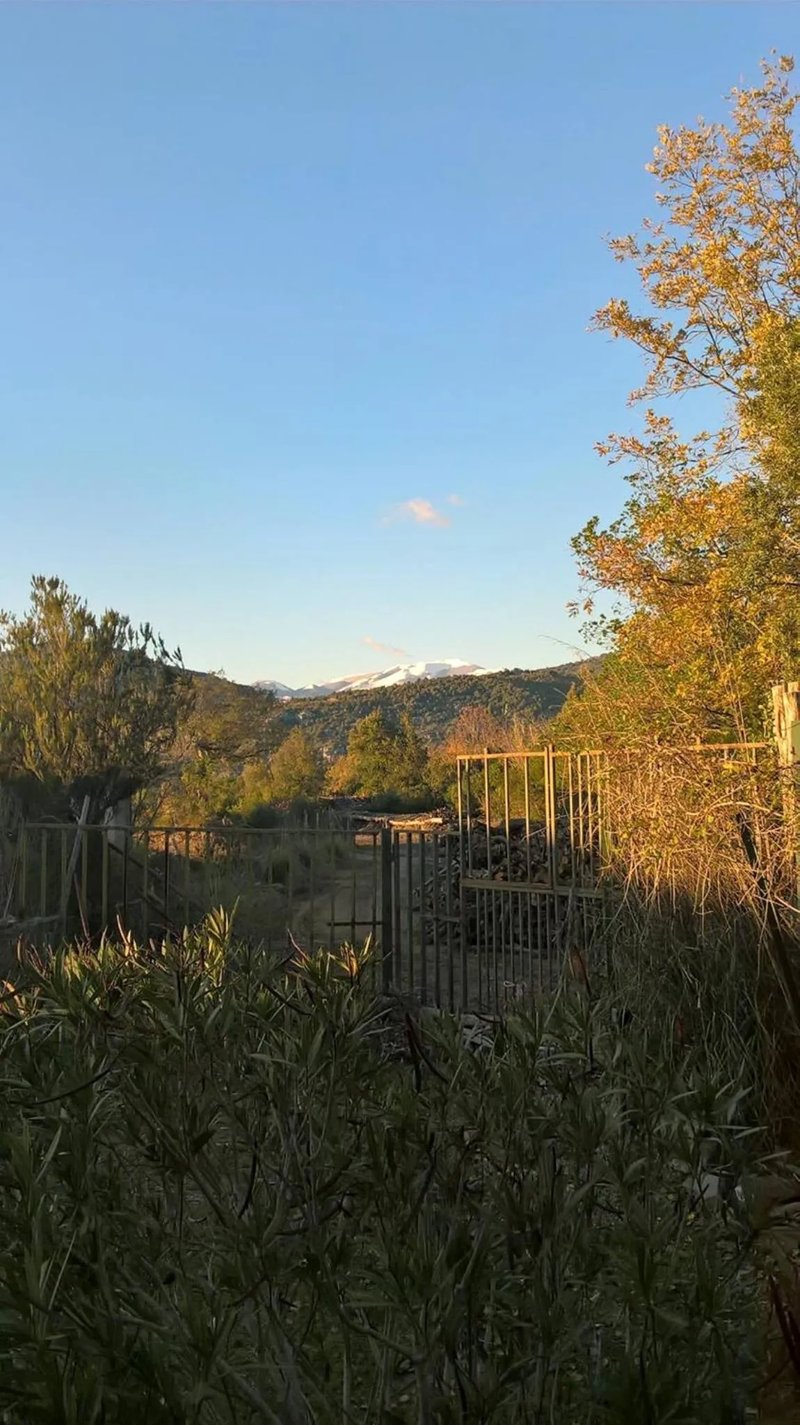 Garden in La casa nel bosco