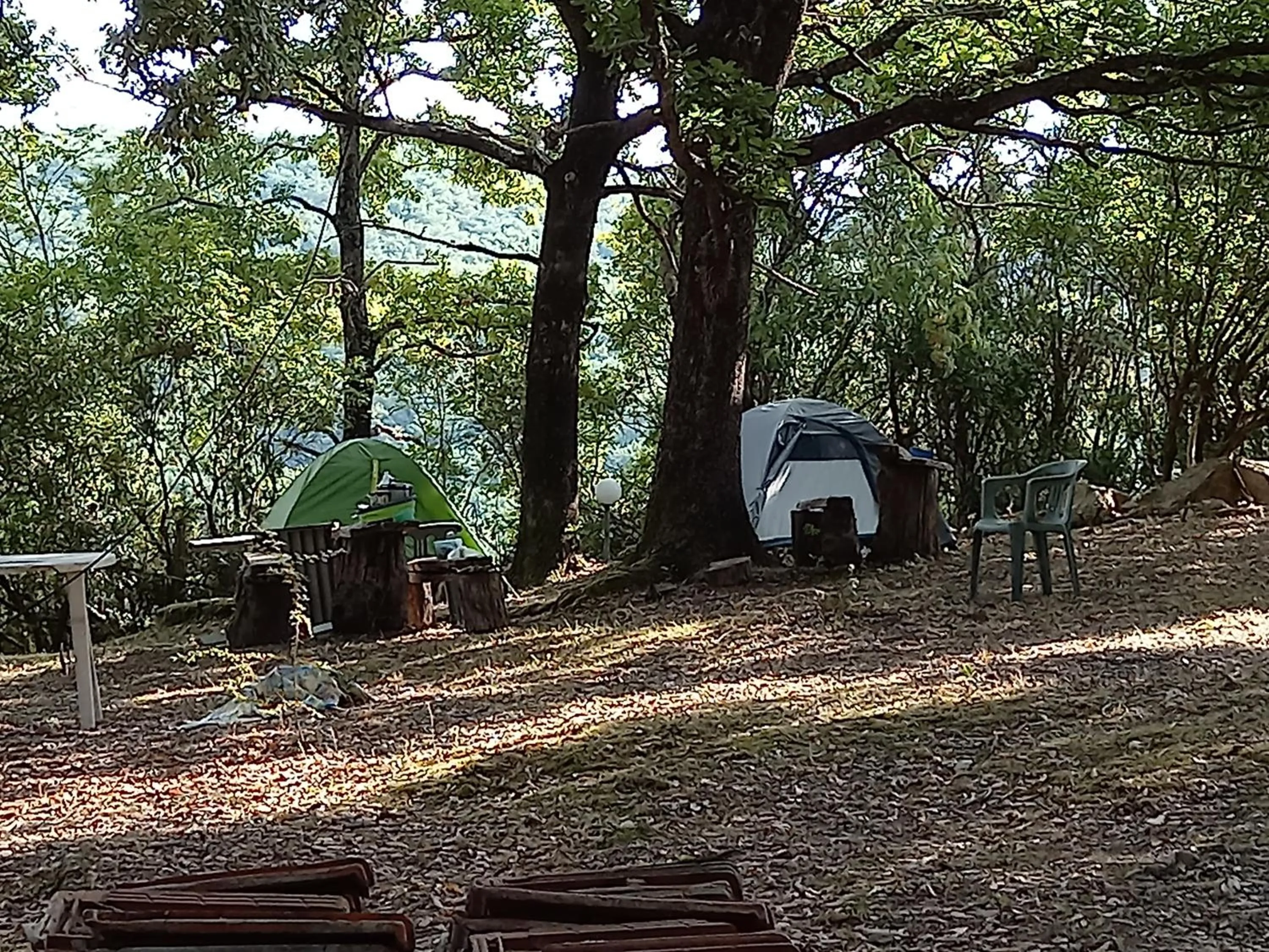 Natural landscape in La casa nel bosco