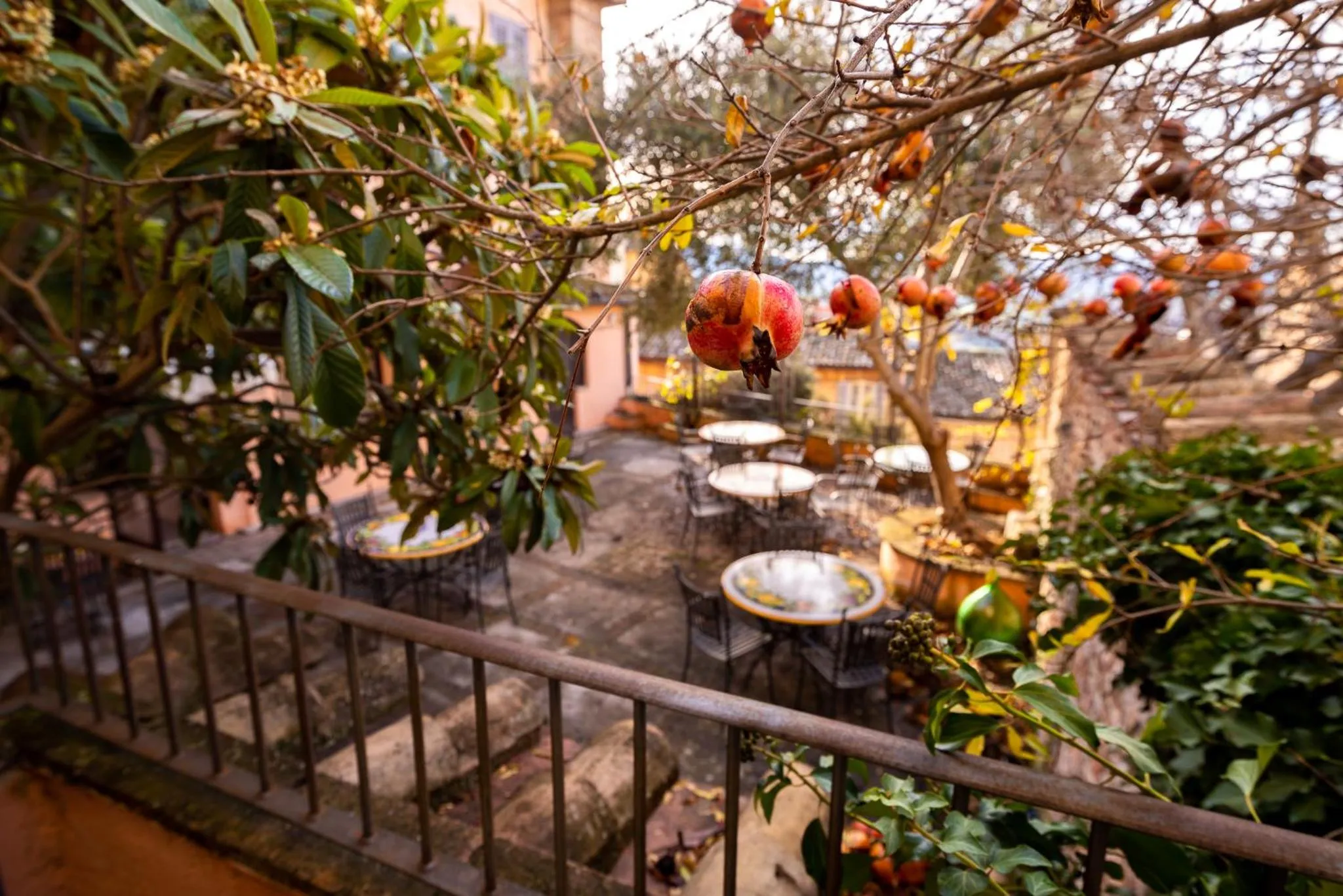 Balcony/Terrace in HOTEL TREVI Palazzo Natalini
