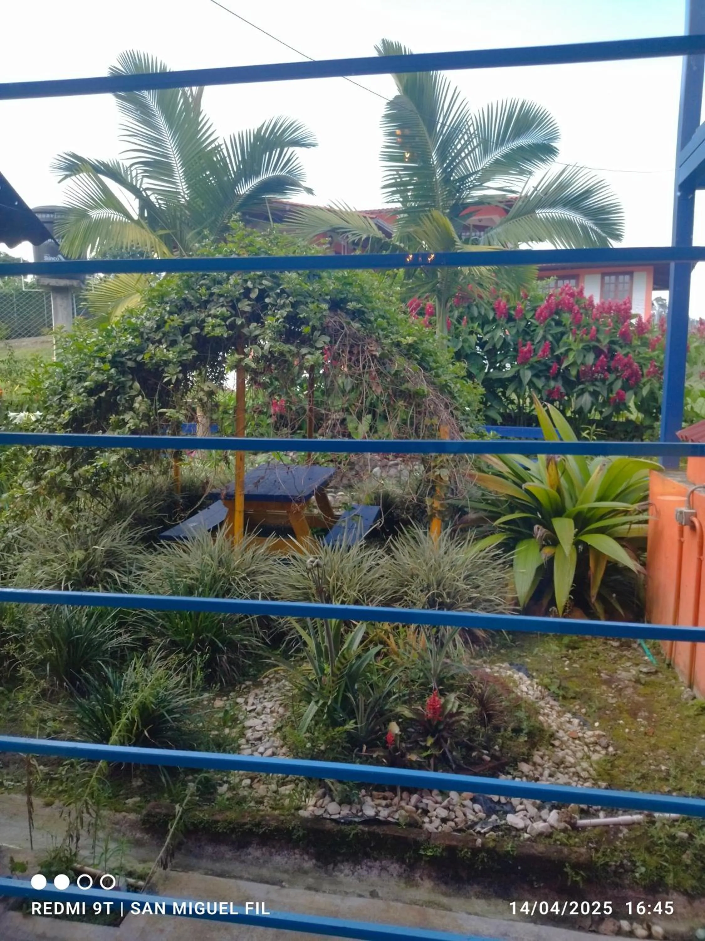 View (from property/room) in Finca San Miguel Filandia