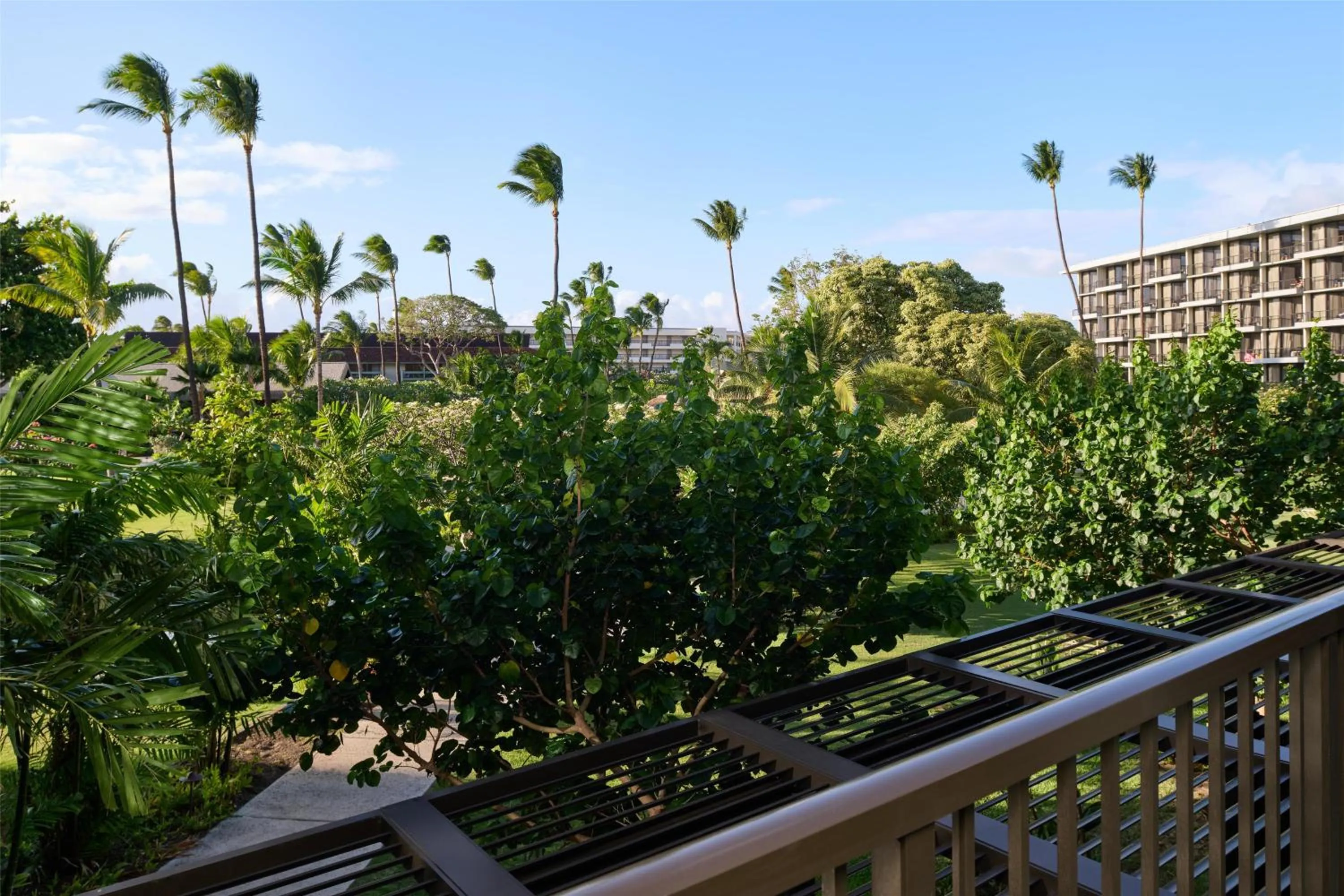 View (from property/room) in OUTRIGGER Kāʻanapali Beach Resort