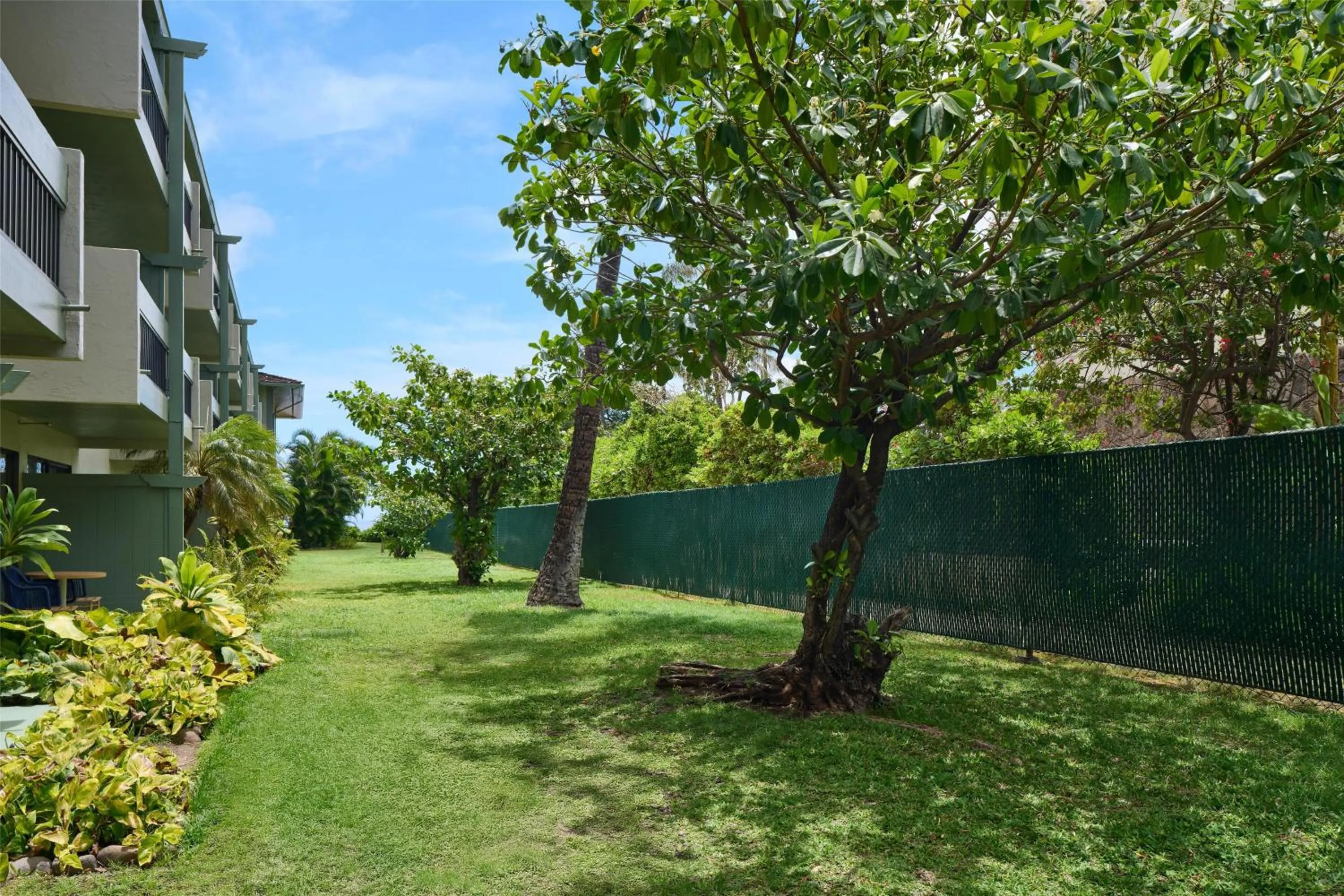 View (from property/room) in OUTRIGGER Kāʻanapali Beach Resort