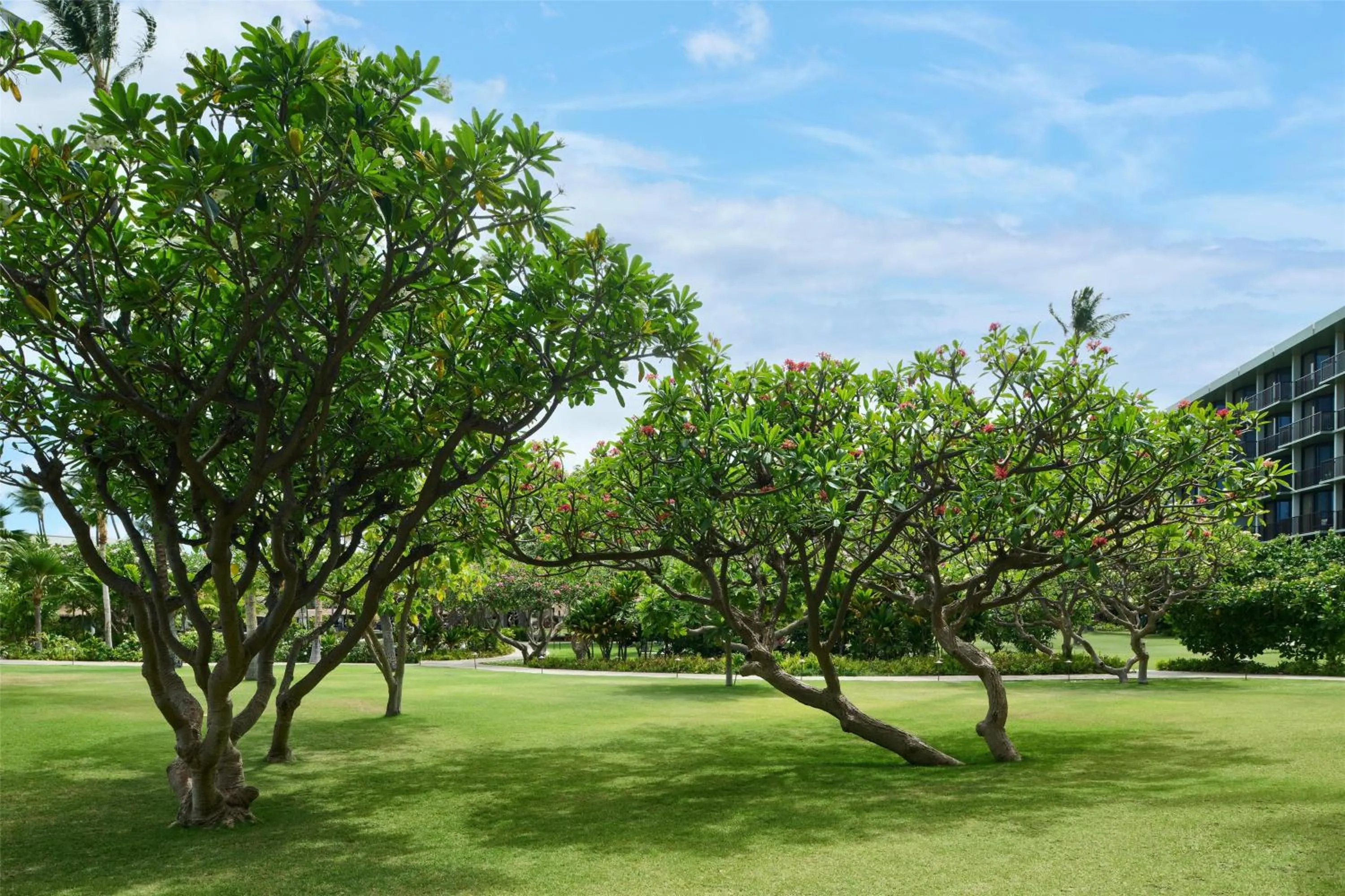 View (from property/room) in OUTRIGGER Kāʻanapali Beach Resort