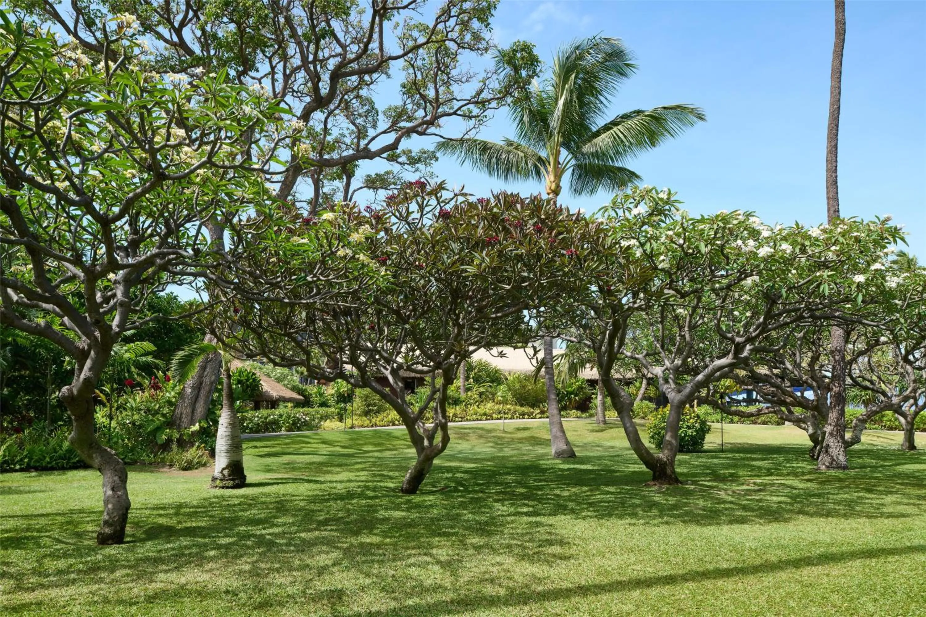 View (from property/room) in OUTRIGGER Kāʻanapali Beach Resort
