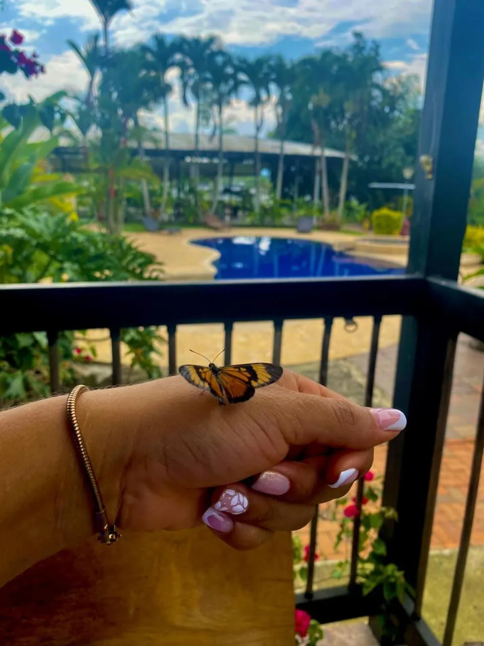 Pool view in Villa Juana Hotel