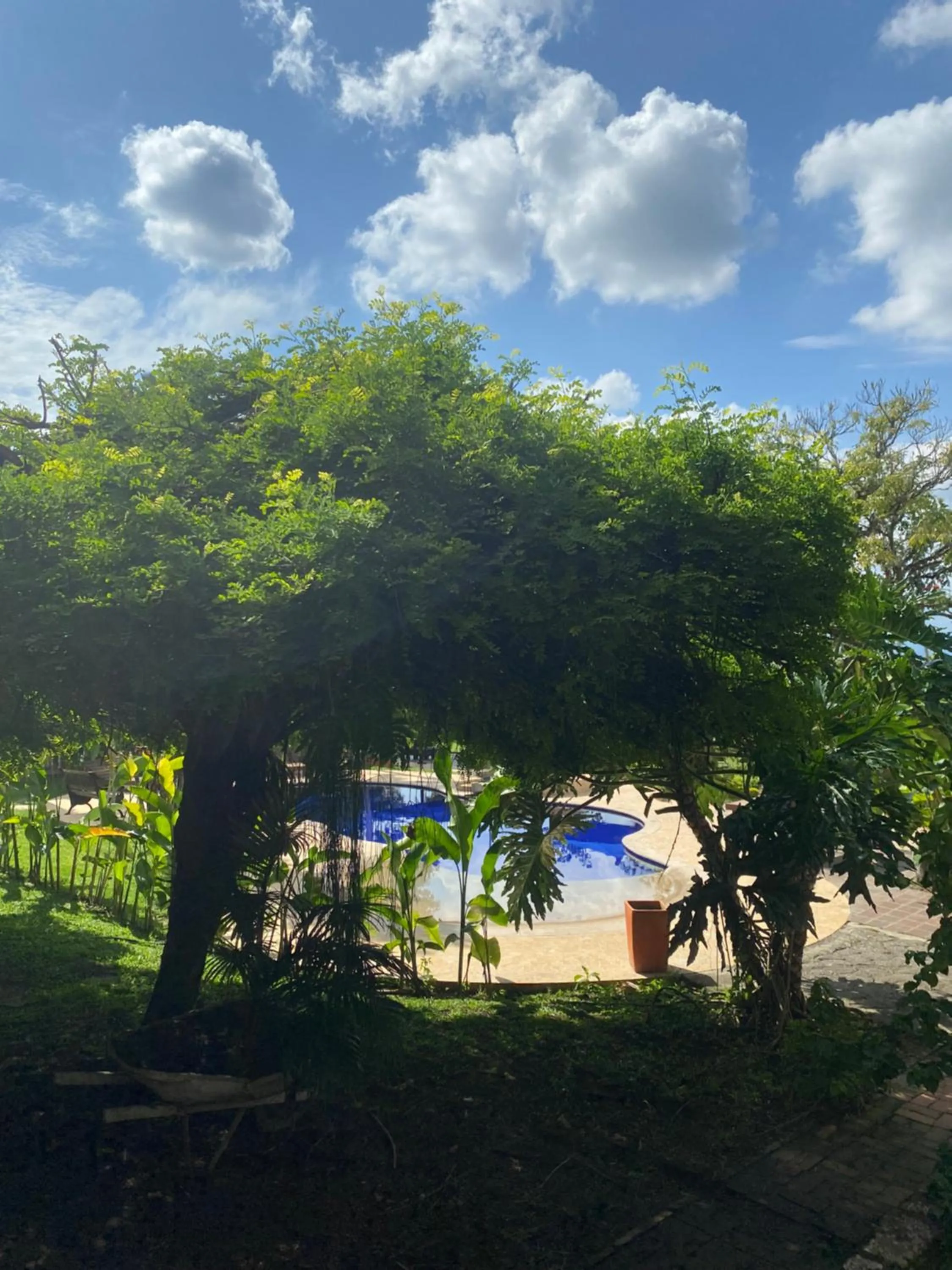 Garden view in Villa Juana Hotel