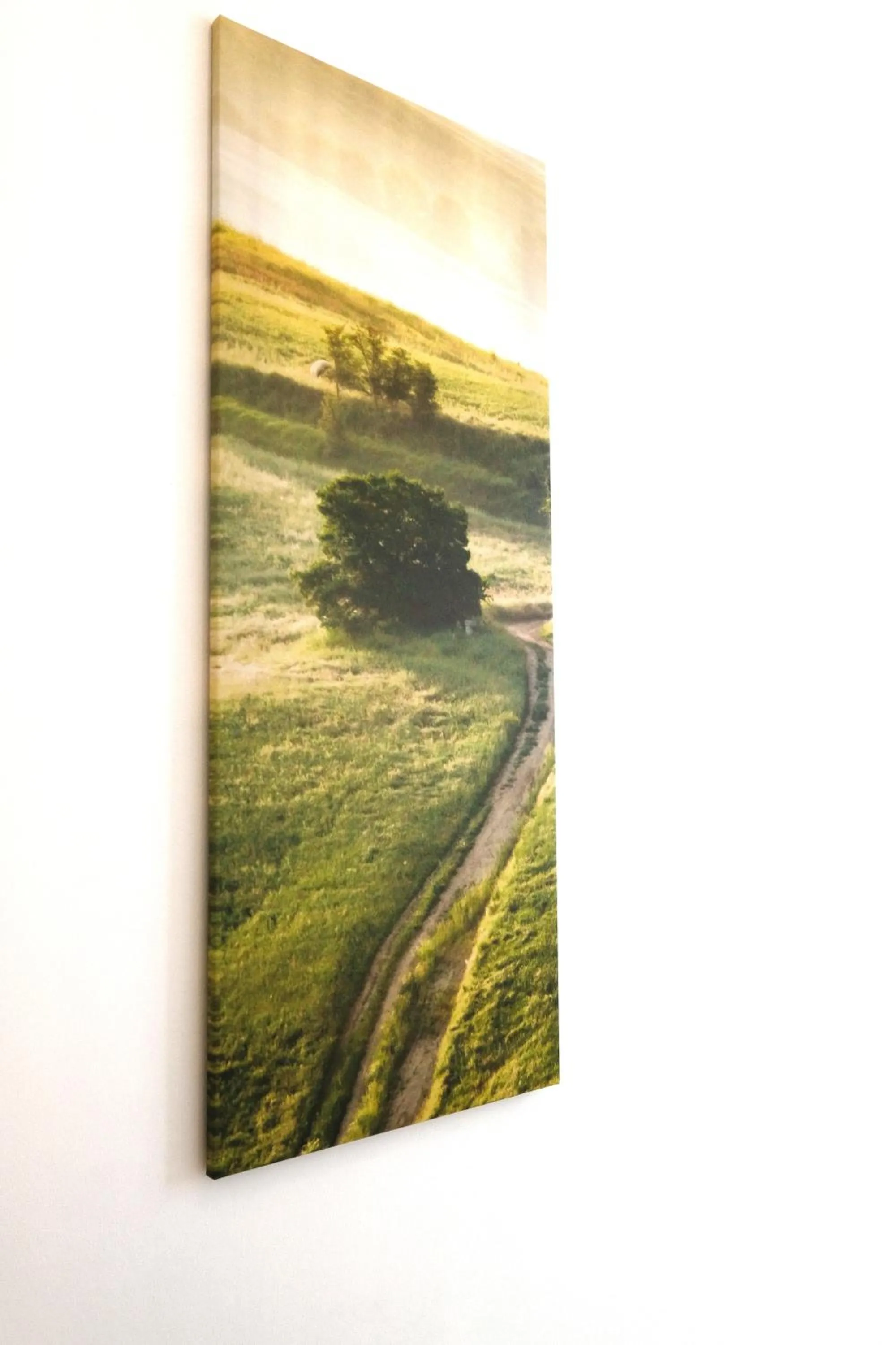 View (from property/room) in Sobieski Stefansdom Apartments