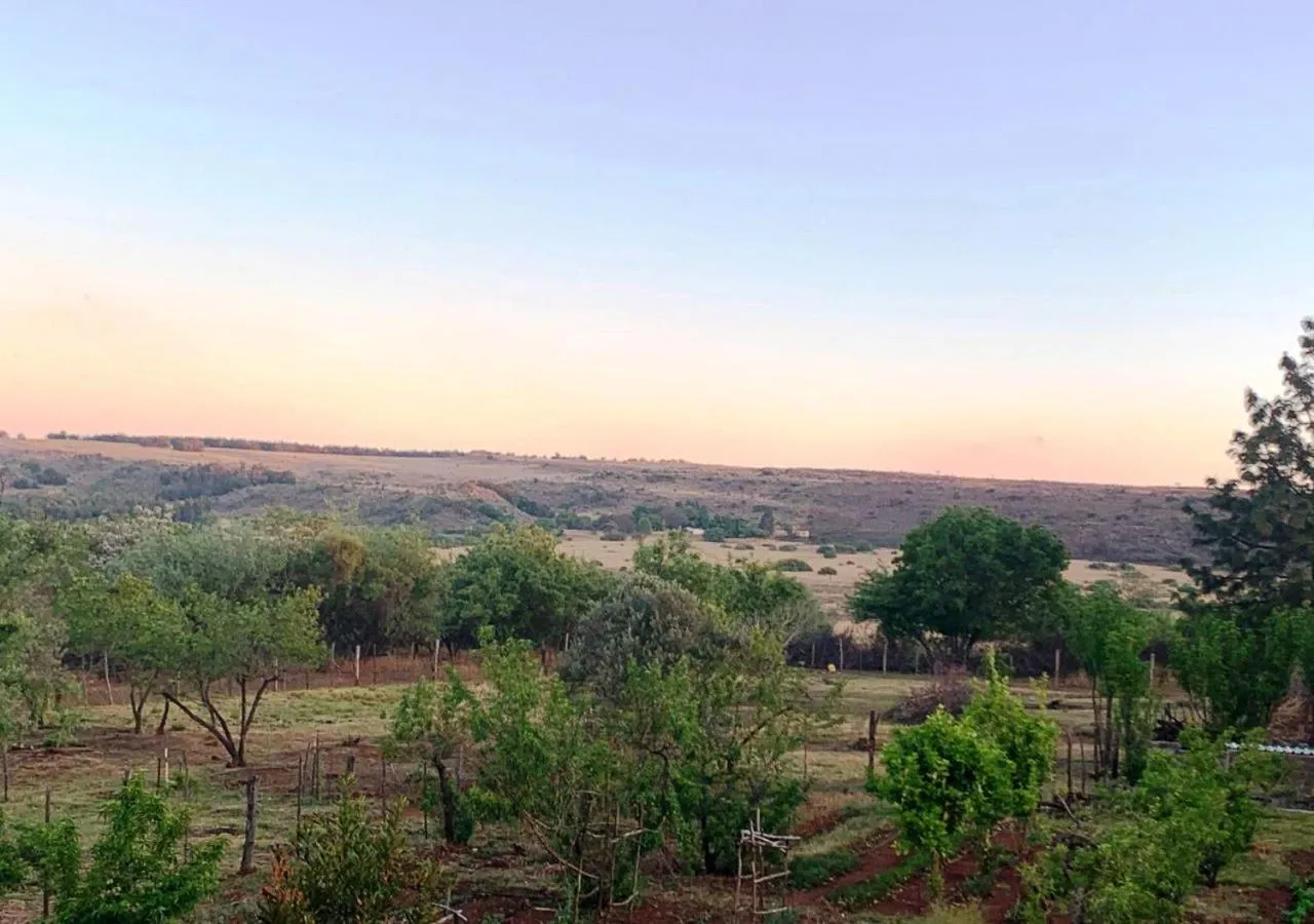 Mountain view in Little Forest Farm