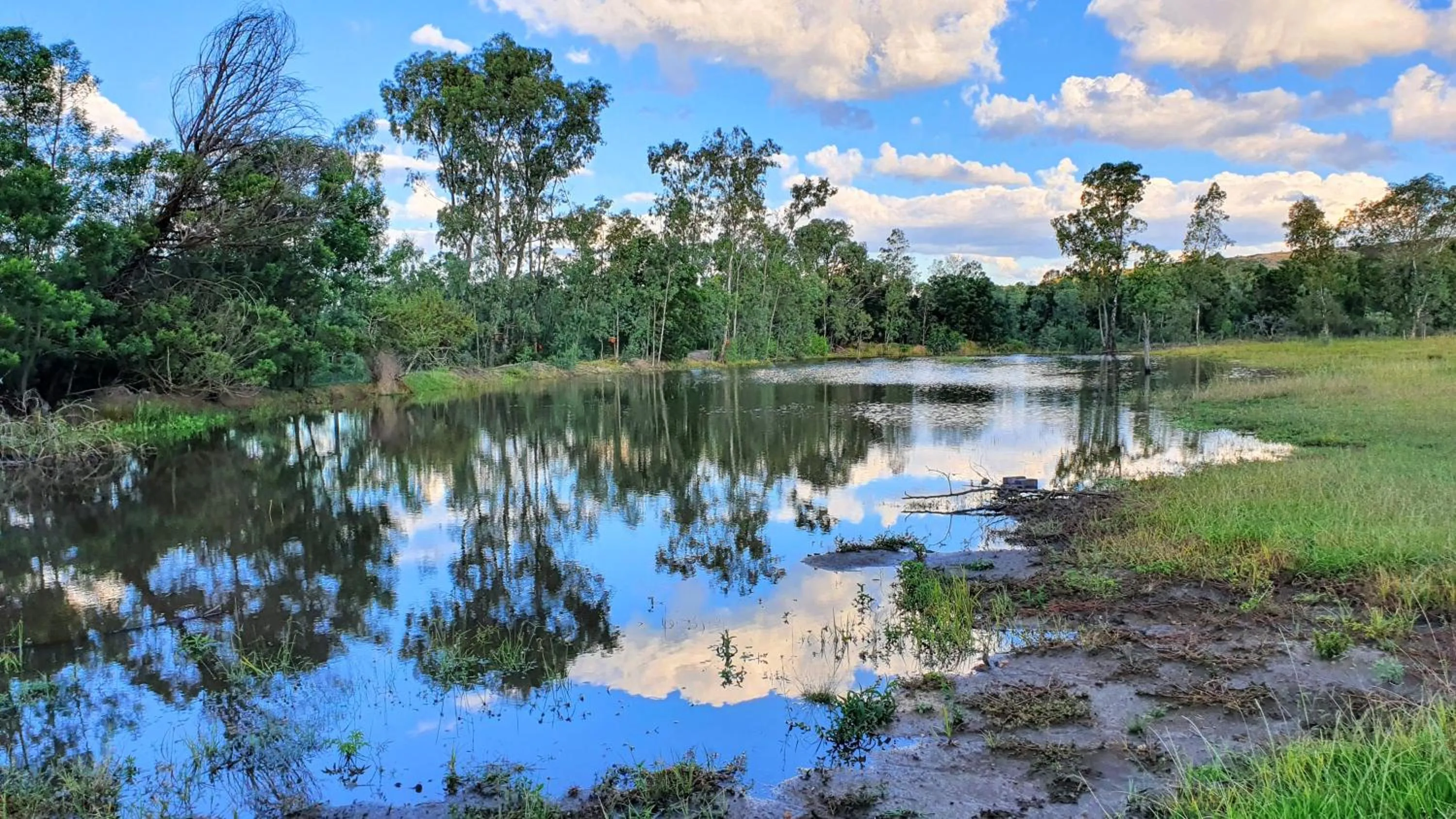 Natural landscape in Little Forest Farm