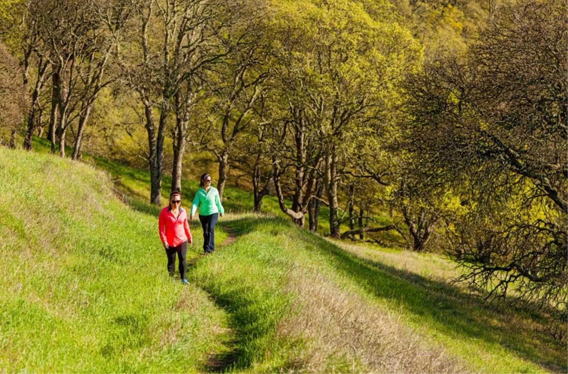 Nearby landmark in Concord Plaza Hotel