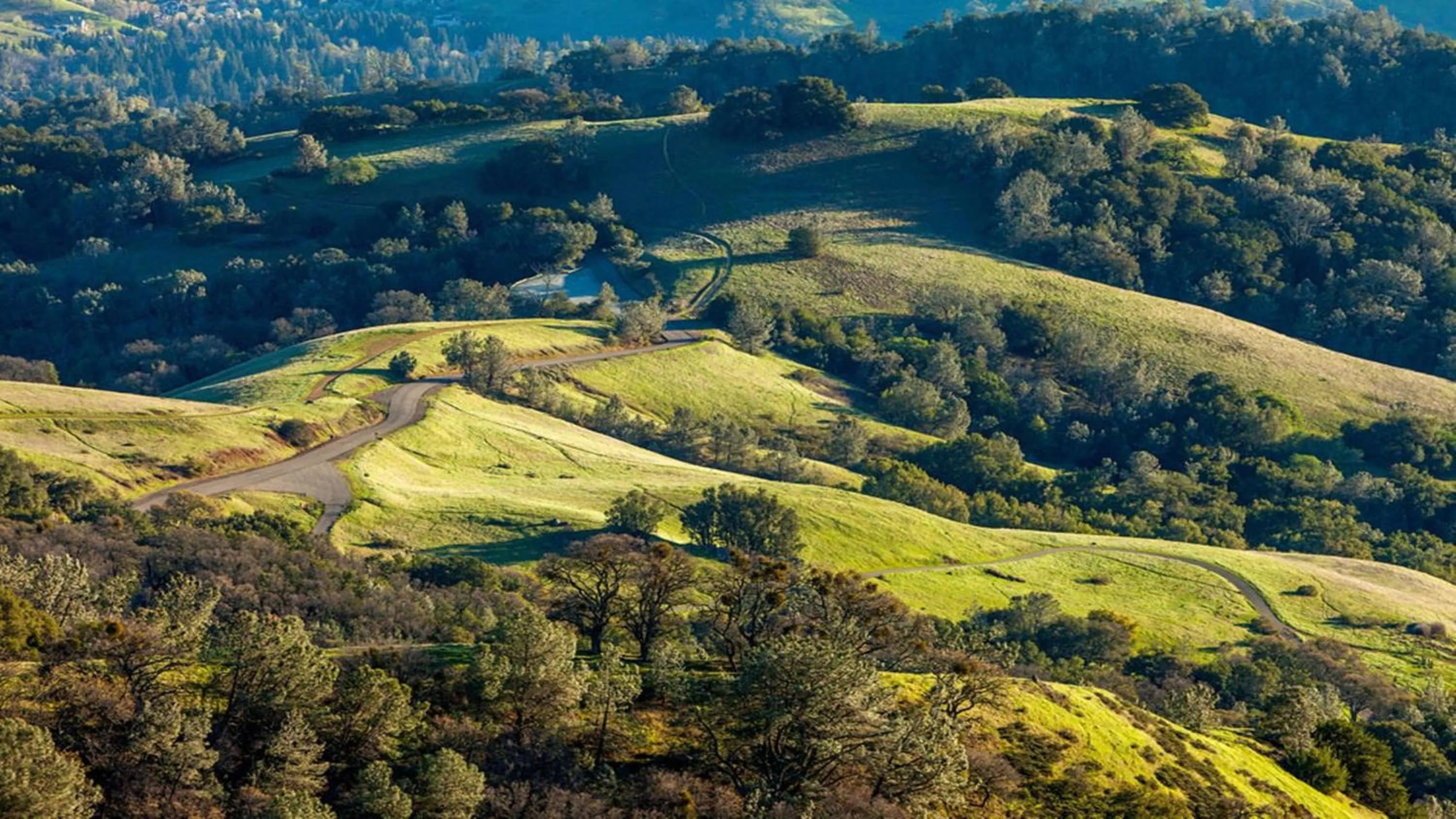 Other in Concord Plaza Hotel
