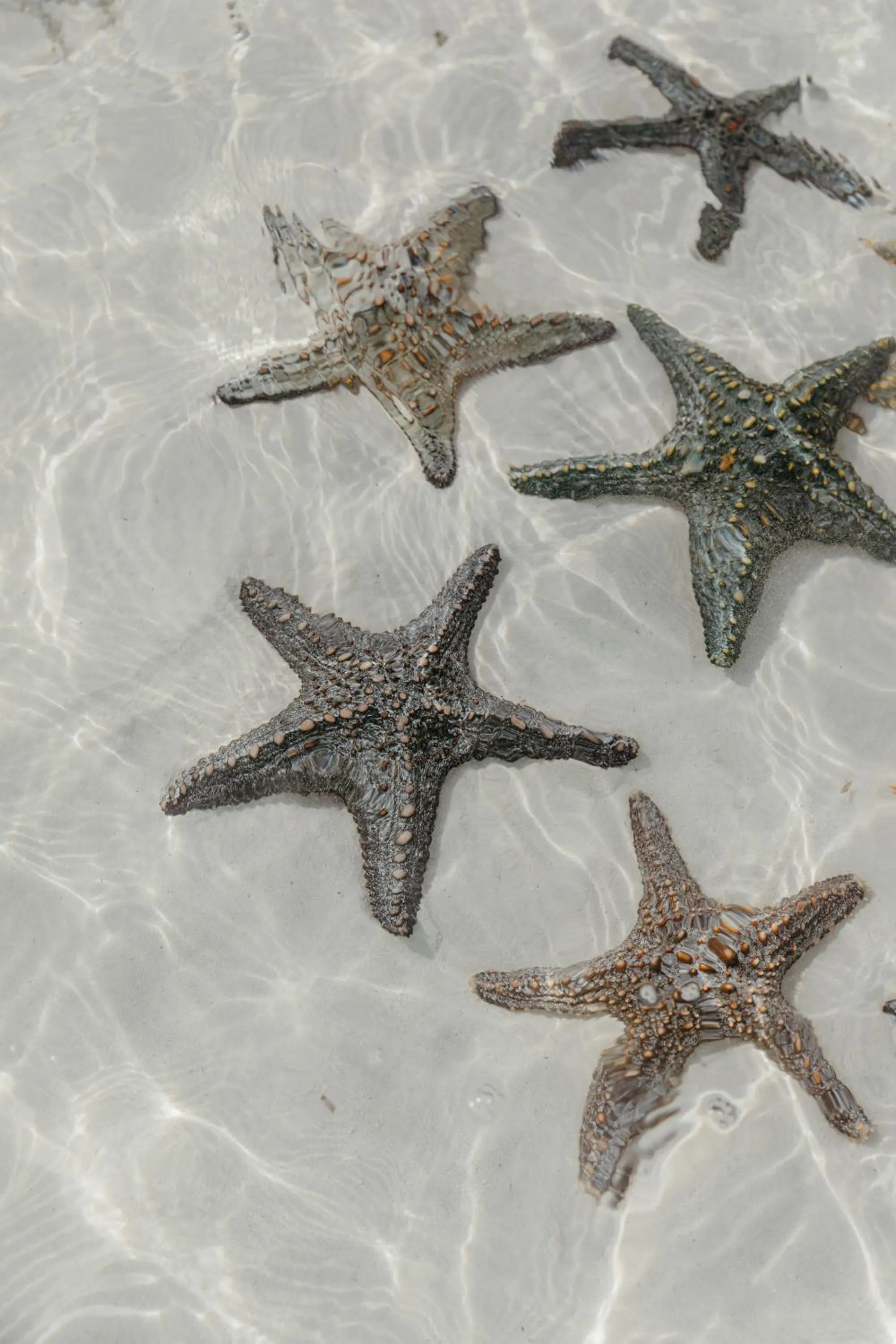 Natural landscape in LUX* Marijani Zanzibar