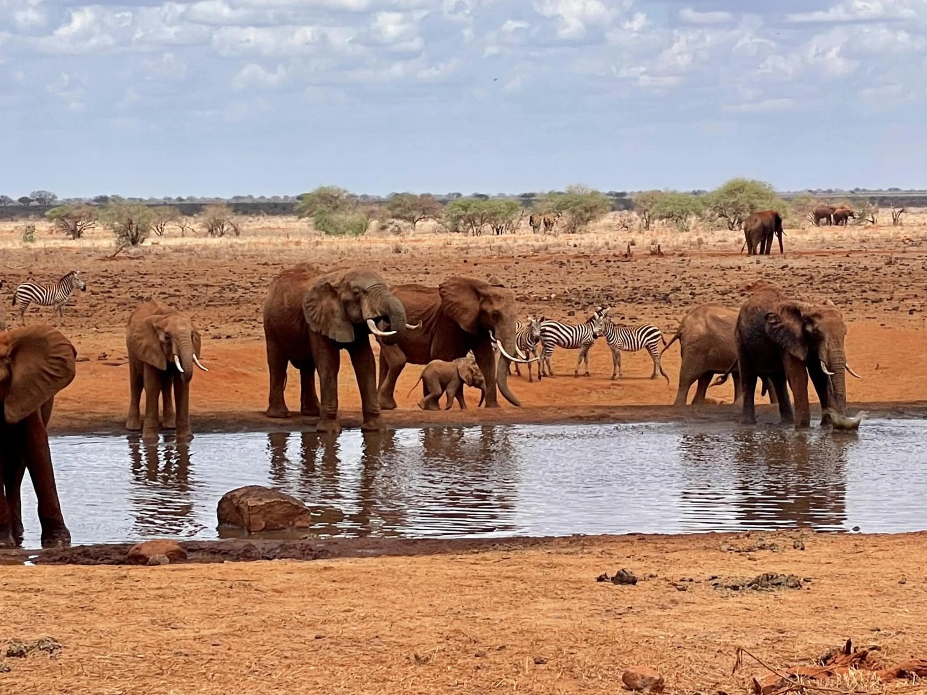 Activities in Eleven Pearl Boutique Hotel & Spa